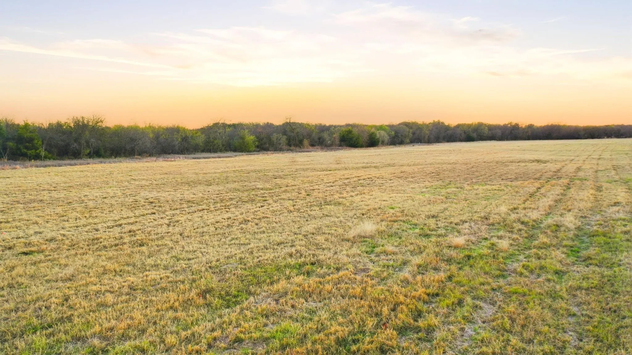 Unimproved Land For Sale in Johnson County , 1826 Fm 731, Burleson, Texas 76028, 0, 0, Garage spaces, 0 Sqft, built in 0, Price $480,000, mls#21290963, Real Estate Agent in Burleson, Homes For Sale in Johnson county, Homes For Sale in Burleson, Realtor in Burleson Texas, Real Estate Brokerage Independent Realty Texas, Luminita Cordes Realtor