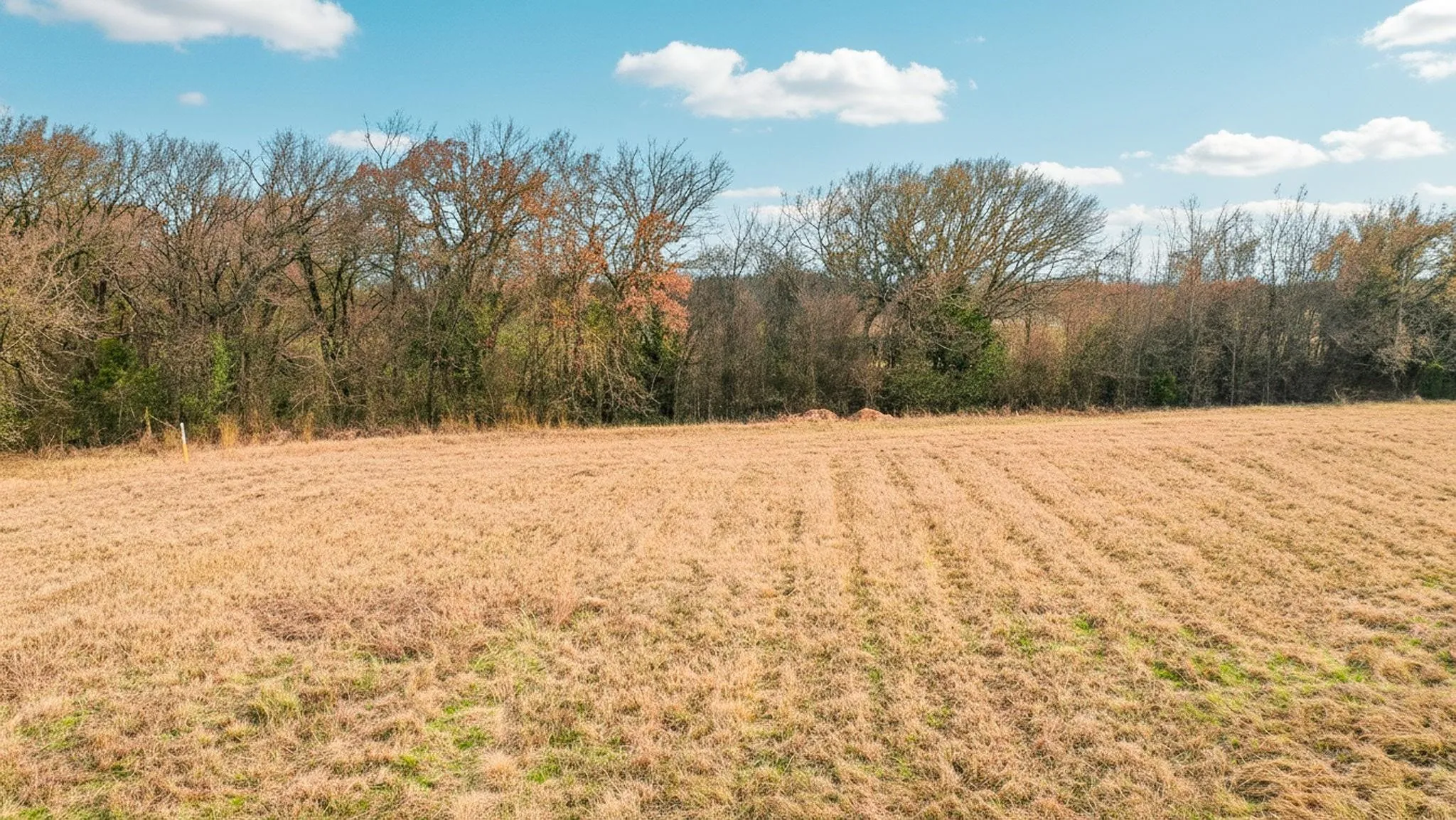 Unimproved Land For Sale in Johnson County , 1826 Fm 731, Burleson, Texas 76028, 0, 0, Garage spaces, 0 Sqft, built in 0, Price $480,000, mls#21290963, Real Estate Agent in Burleson, Homes For Sale in Johnson county, Homes For Sale in Burleson, Realtor in Burleson Texas, Real Estate Brokerage Independent Realty Texas, Luminita Cordes Realtor