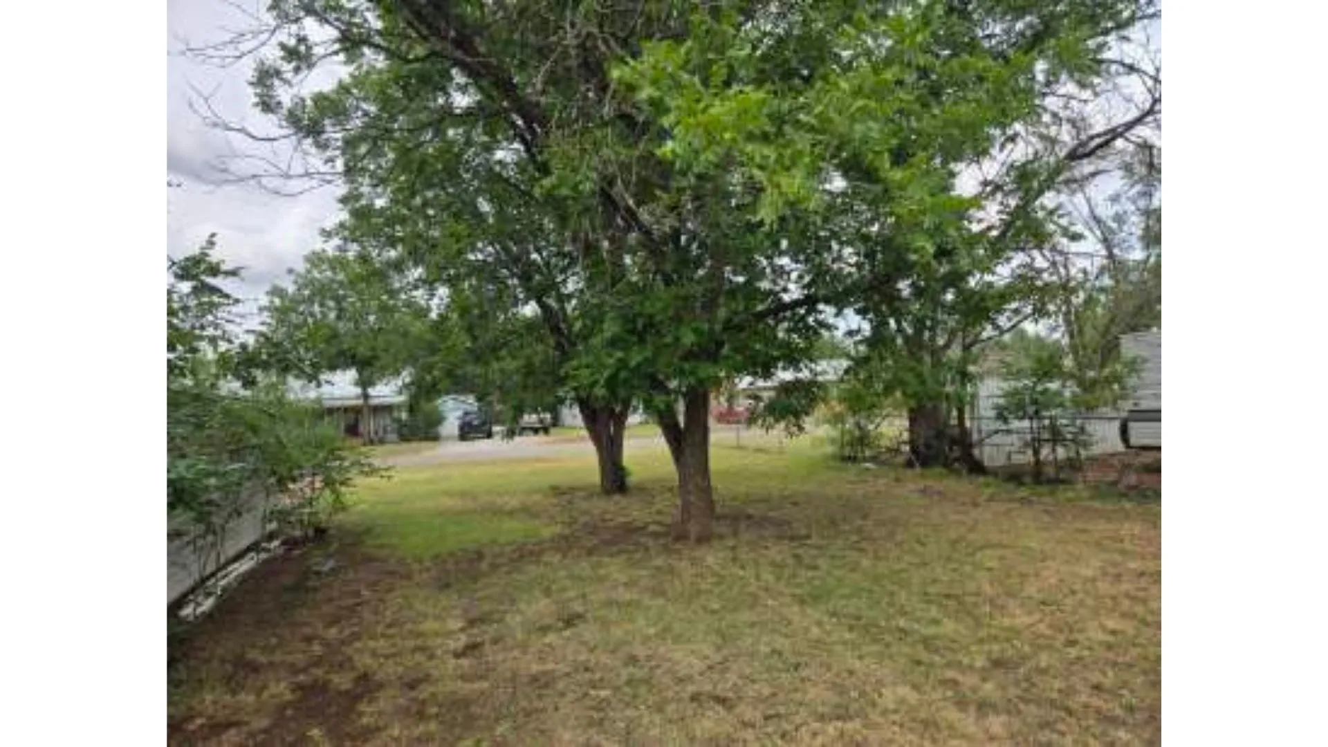 Expansive outdoor space featuring mature trees and a partial privacy fence