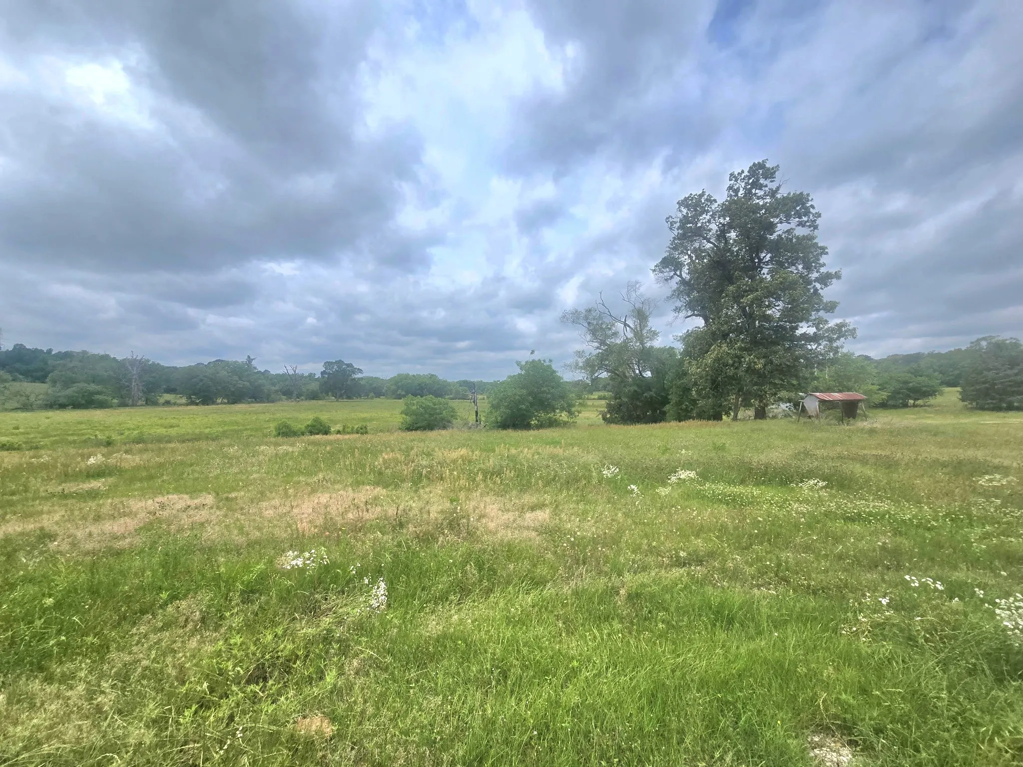 Improved Land For Sale in Smith County , TBD County Road 246, Arp, Texas 75750, 0, 0, Garage spaces, 0 Sqft, built in 0, Price $465,000, mls#21290979, Real Estate Agent in Arp, Homes For Sale in Smith county, Homes For Sale in Arp, Realtor in Arp Texas, Real Estate Brokerage Independent Realty Texas, Luminita Cordes Realtor