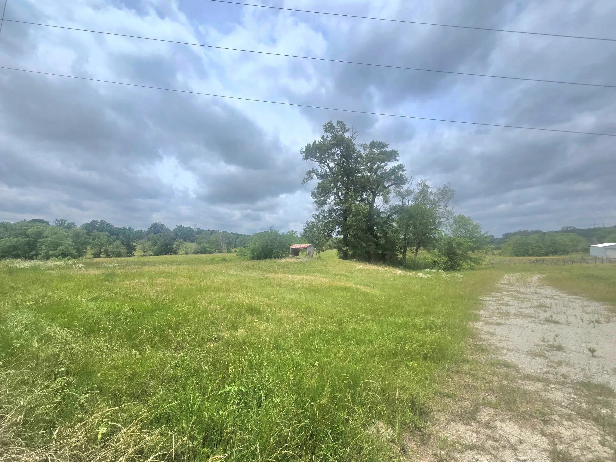 Improved Land For Sale in Smith County , TBD County Road 246, Arp, Texas 75750, 0, 0, Garage spaces, 0 Sqft, built in 0, Price $465,000, mls#21290979, Real Estate Agent in Arp, Homes For Sale in Smith county, Homes For Sale in Arp, Realtor in Arp Texas, Real Estate Brokerage Independent Realty Texas, Luminita Cordes Realtor