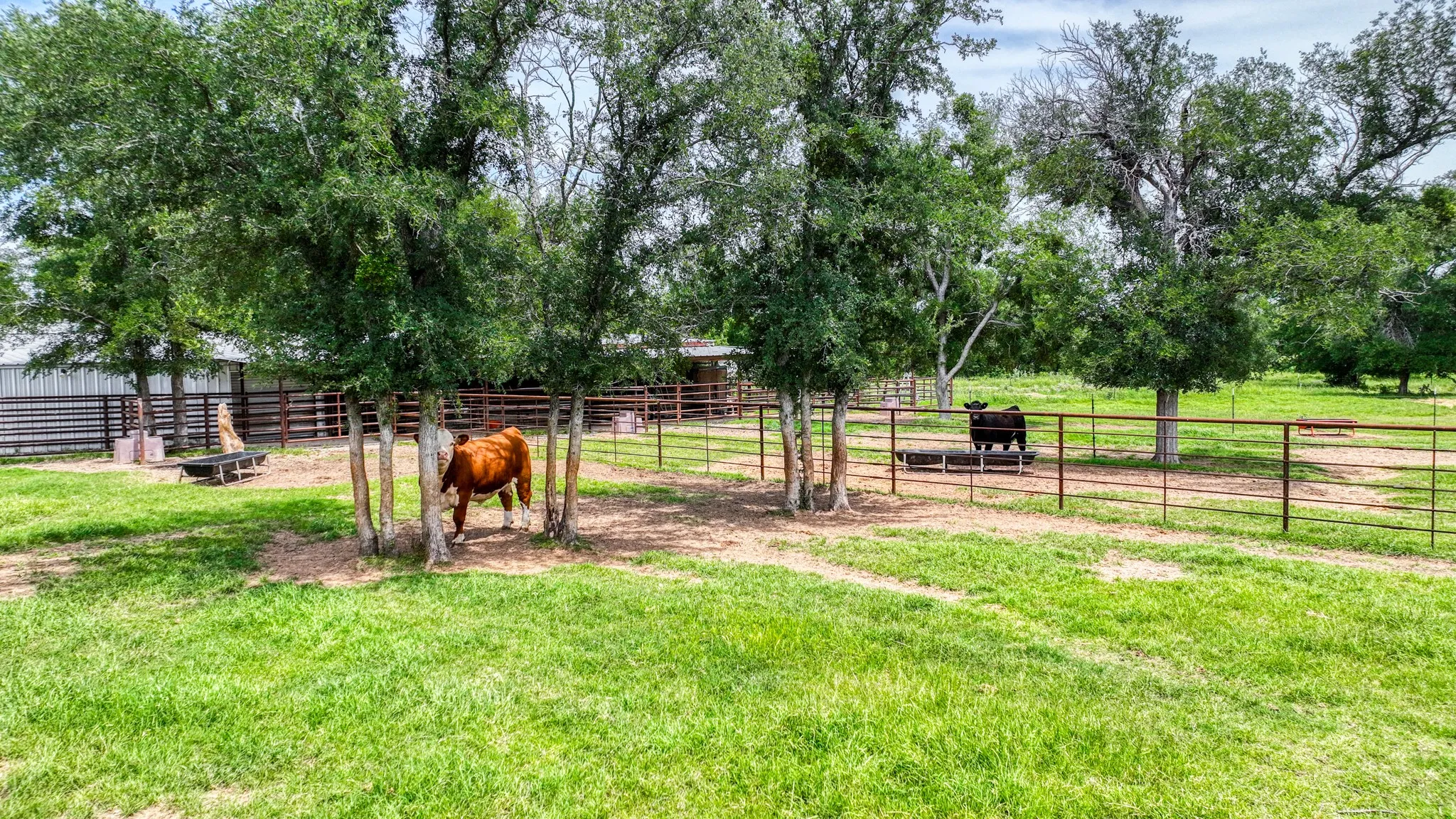 Single Family Residence For Sale in Parker County , 1060 Young Bend Road, Brock, Texas 76087, 3 Bedroom, 2 Bathroom, Garage spaces, 1,984 Sqft, built in 1999, mls#21290420, Real Estate Agent in Brock, Homes For Sale in Parker county, Homes For Sale in Brock, Realtor in Brock Texas, Real Estate Brokerage Independent Realty Texas, Luminita Cordes Realtor
