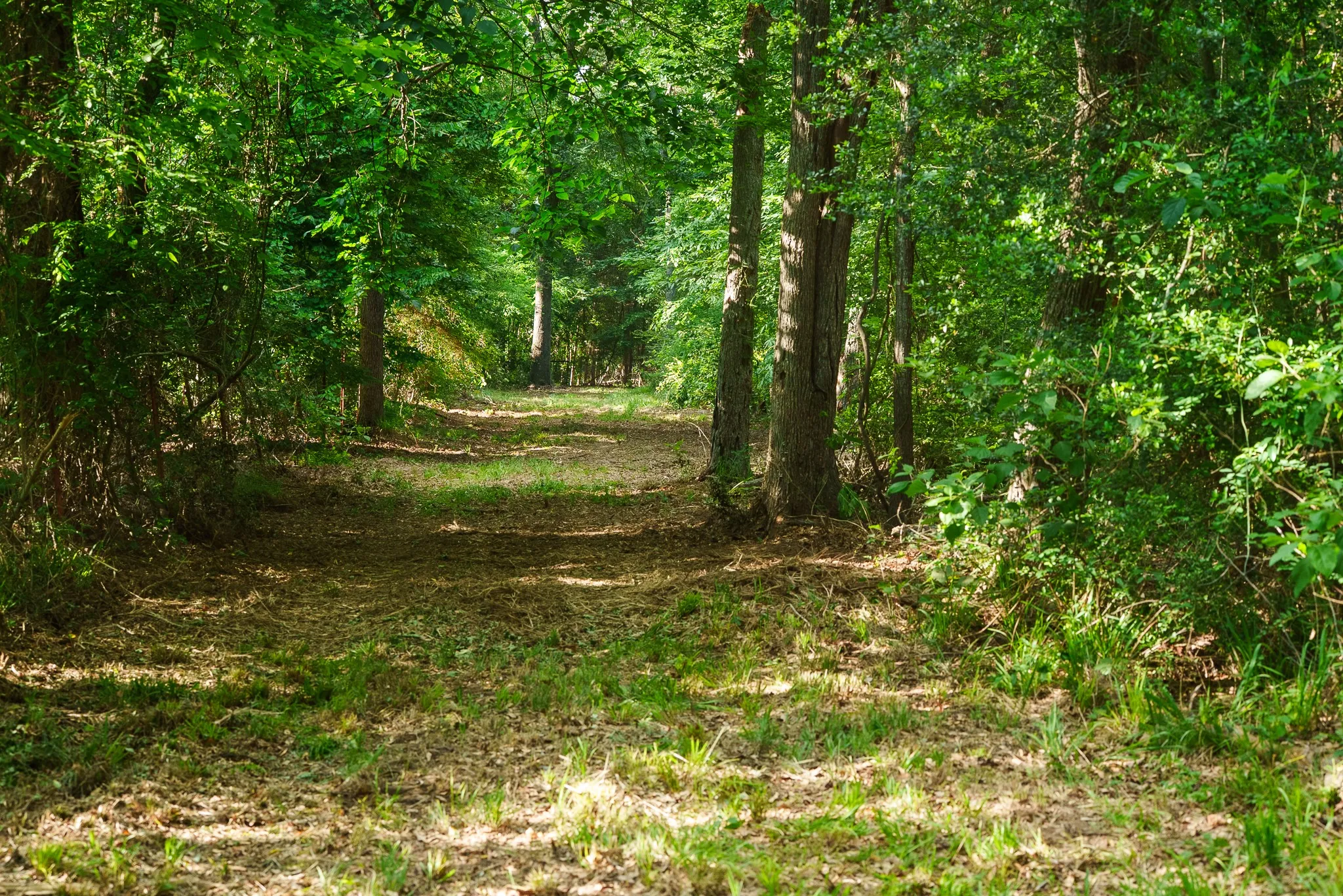 Farm For Sale in Smith County , 22924 County Road 223, Arp, Texas 75750, 5 Bedroom, 3 Bathroom, 2 Garage spaces, 2,914 Sqft, built in 2008, mls#21289799, Real Estate Agent in Arp, Homes For Sale in Smith county, Homes For Sale in Arp, Realtor in Arp Texas, Real Estate Brokerage Independent Realty Texas, Luminita Cordes Realtor