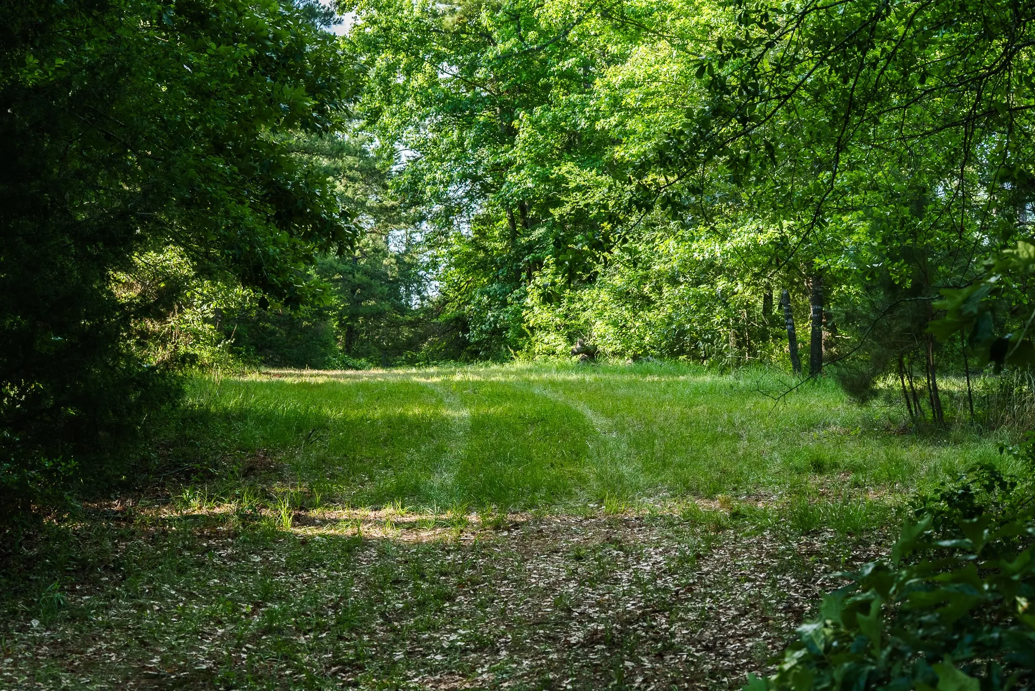 Farm For Sale in Smith County , 22924 County Road 223, Arp, Texas 75750, 5 Bedroom, 3 Bathroom, 2 Garage spaces, 2,914 Sqft, built in 2008, mls#21289799, Real Estate Agent in Arp, Homes For Sale in Smith county, Homes For Sale in Arp, Realtor in Arp Texas, Real Estate Brokerage Independent Realty Texas, Luminita Cordes Realtor