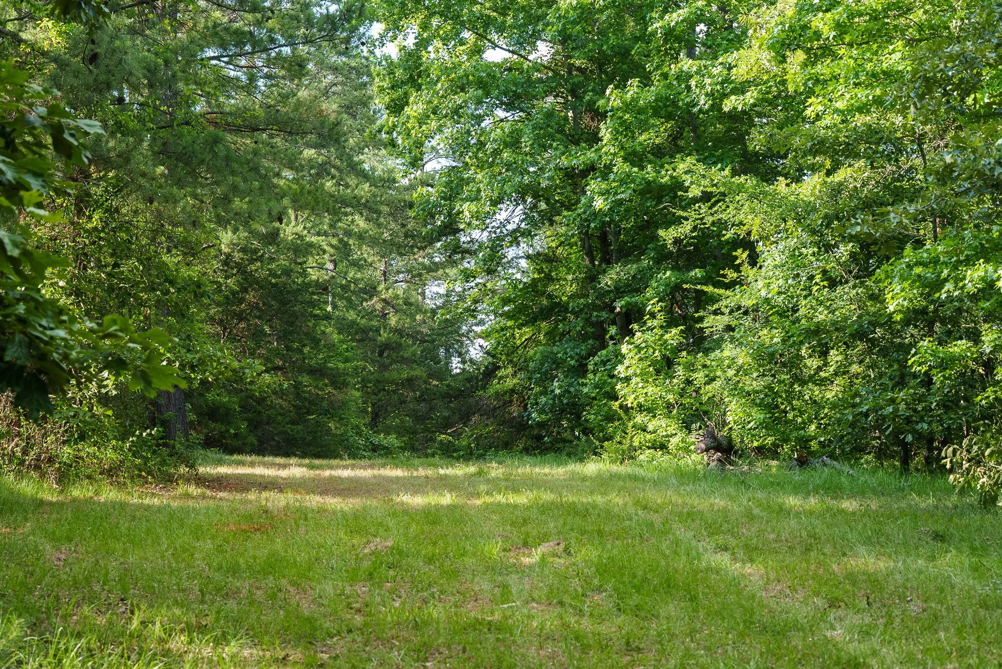 Farm For Sale in Smith County , 22924 County Road 223, Arp, Texas 75750, 5 Bedroom, 3 Bathroom, 2 Garage spaces, 2,914 Sqft, built in 2008, mls#21289799, Real Estate Agent in Arp, Homes For Sale in Smith county, Homes For Sale in Arp, Realtor in Arp Texas, Real Estate Brokerage Independent Realty Texas, Luminita Cordes Realtor