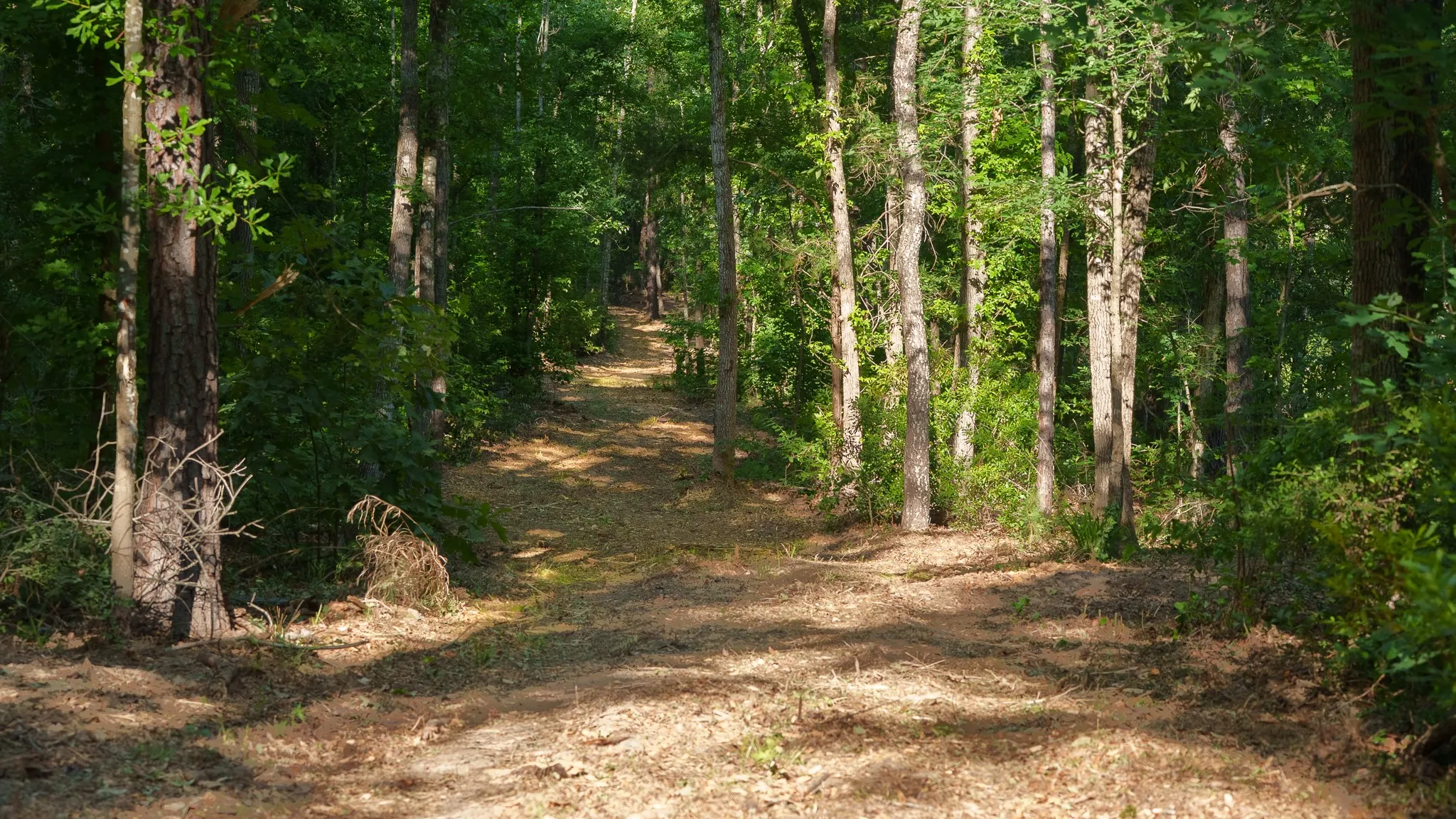 Farm For Sale in Smith County , 22924 County Road 223, Arp, Texas 75750, 5 Bedroom, 3 Bathroom, 2 Garage spaces, 2,914 Sqft, built in 2008, mls#21289799, Real Estate Agent in Arp, Homes For Sale in Smith county, Homes For Sale in Arp, Realtor in Arp Texas, Real Estate Brokerage Independent Realty Texas, Luminita Cordes Realtor