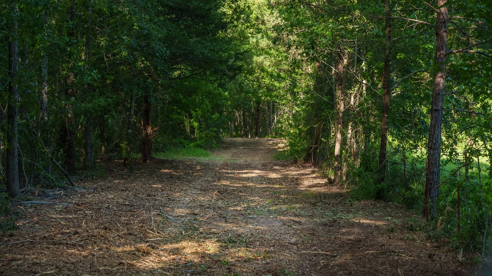 Farm For Sale in Smith County , 22924 County Road 223, Arp, Texas 75750, 5 Bedroom, 3 Bathroom, 2 Garage spaces, 2,914 Sqft, built in 2008, mls#21289799, Real Estate Agent in Arp, Homes For Sale in Smith county, Homes For Sale in Arp, Realtor in Arp Texas, Real Estate Brokerage Independent Realty Texas, Luminita Cordes Realtor