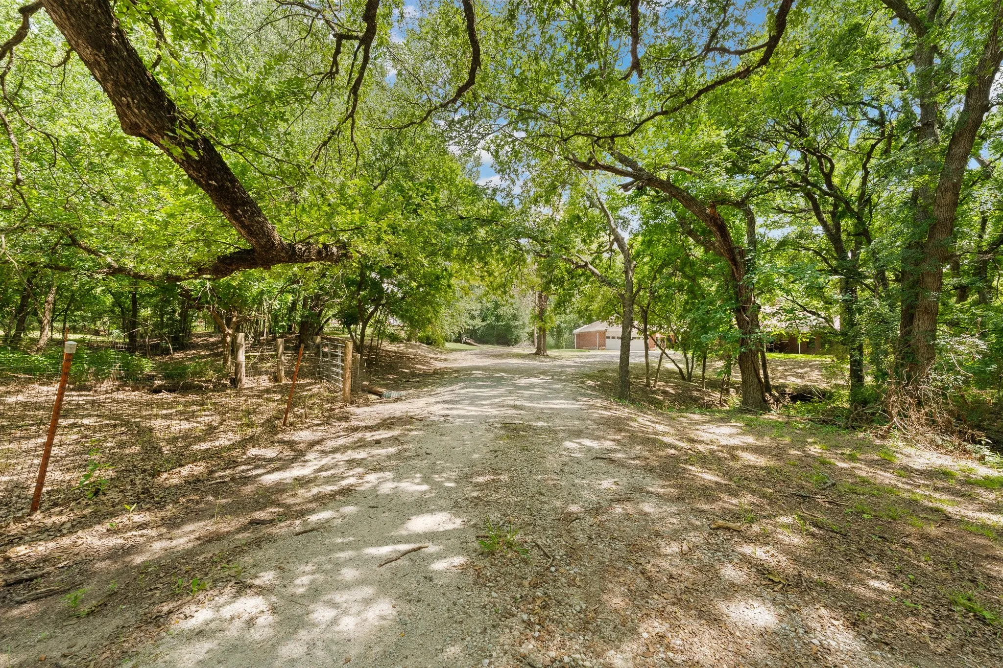 Driveway to home