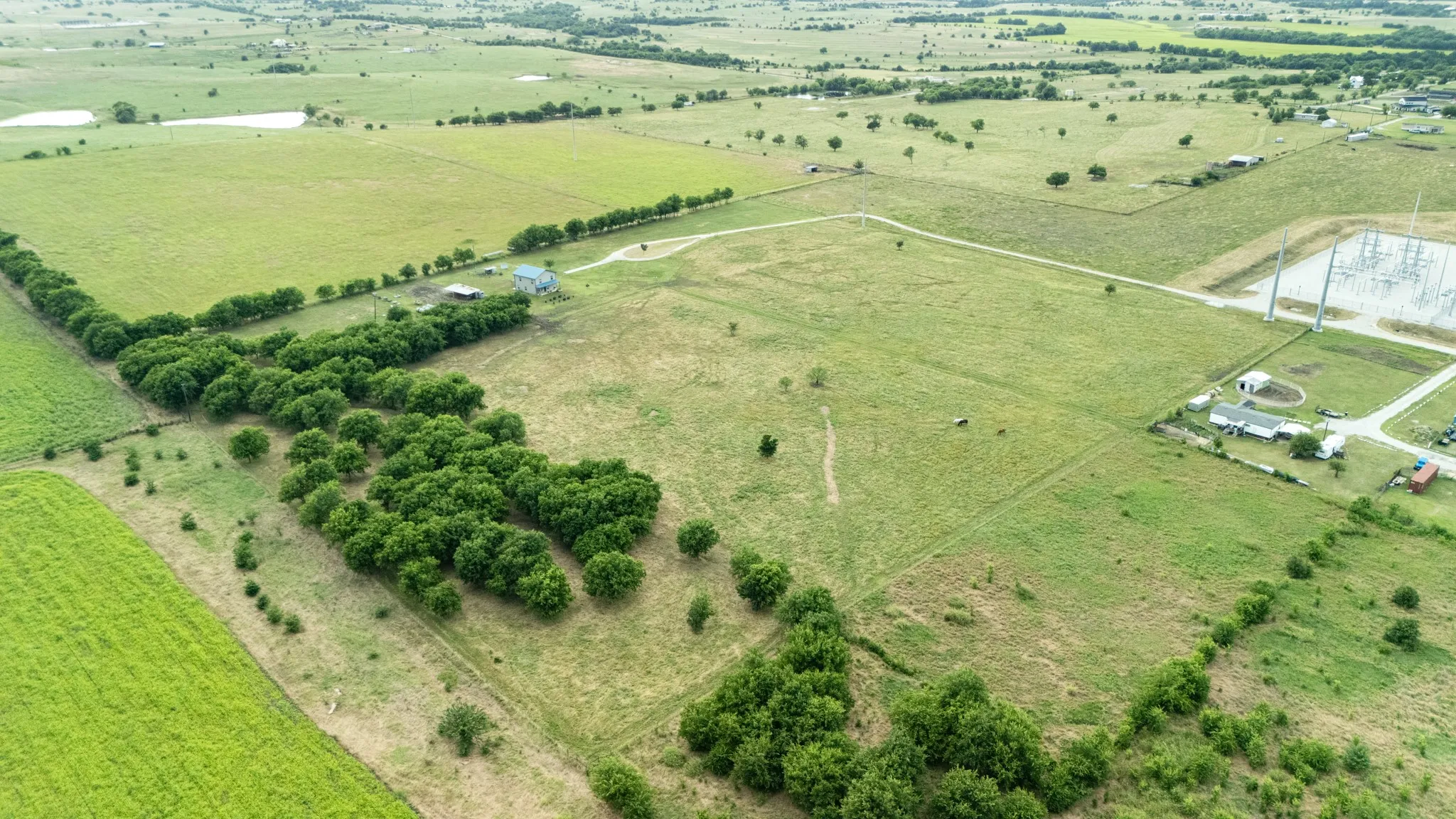 Single Family Residence For Sale in Wise County , 124 County Road 4511, Decatur, Texas 76234, 3 Bedroom, 3 Bathroom, Garage spaces, 1,800 Sqft, built in 2022, mls#21290693, Real Estate Agent in Decatur, Homes For Sale in Wise county, Homes For Sale in Decatur, Realtor in Decatur Texas, Real Estate Brokerage Independent Realty Texas, Luminita Cordes Realtor