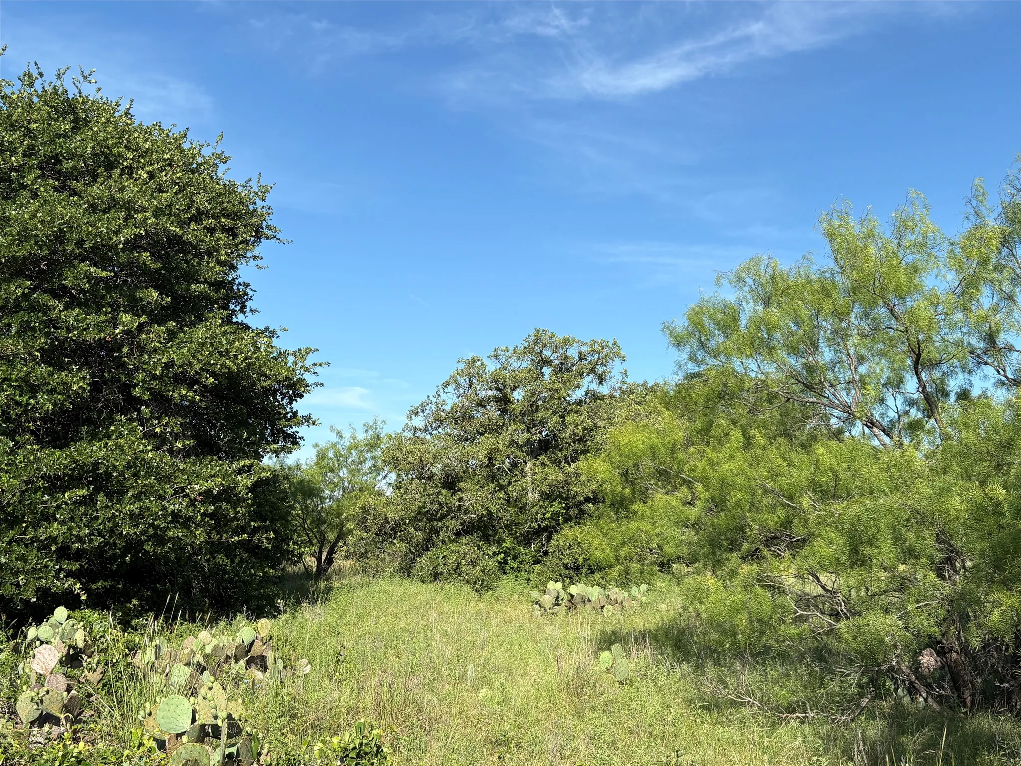 Ranch For Sale in Eastland County , 16 Acres TBD FM 571, Gorman, Texas 76454, 0, 0, Garage spaces, 0 Sqft, built in 0, Price $200,000, mls#21288980, Real Estate Agent in Gorman, Homes For Sale in Eastland county, Homes For Sale in Gorman, Realtor in Gorman Texas, Real Estate Brokerage Independent Realty Texas, Luminita Cordes Realtor