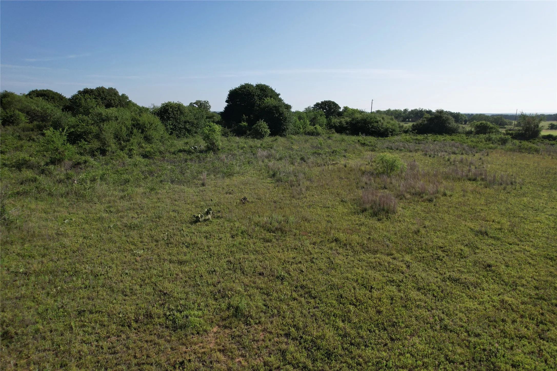 Ranch For Sale in Eastland County , 16 Acres TBD FM 571, Gorman, Texas 76454, 0, 0, Garage spaces, 0 Sqft, built in 0, Price $200,000, mls#21288980, Real Estate Agent in Gorman, Homes For Sale in Eastland county, Homes For Sale in Gorman, Realtor in Gorman Texas, Real Estate Brokerage Independent Realty Texas, Luminita Cordes Realtor