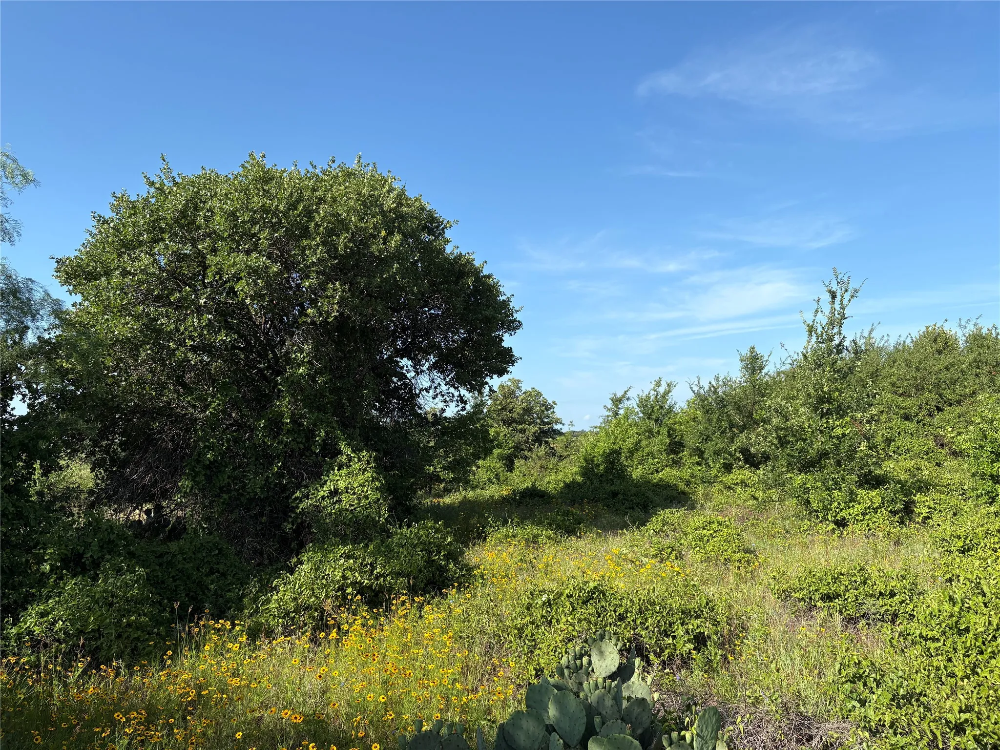 Ranch For Sale in Eastland County , 16 Acres TBD FM 571, Gorman, Texas 76454, 0, 0, Garage spaces, 0 Sqft, built in 0, Price $200,000, mls#21288980, Real Estate Agent in Gorman, Homes For Sale in Eastland county, Homes For Sale in Gorman, Realtor in Gorman Texas, Real Estate Brokerage Independent Realty Texas, Luminita Cordes Realtor