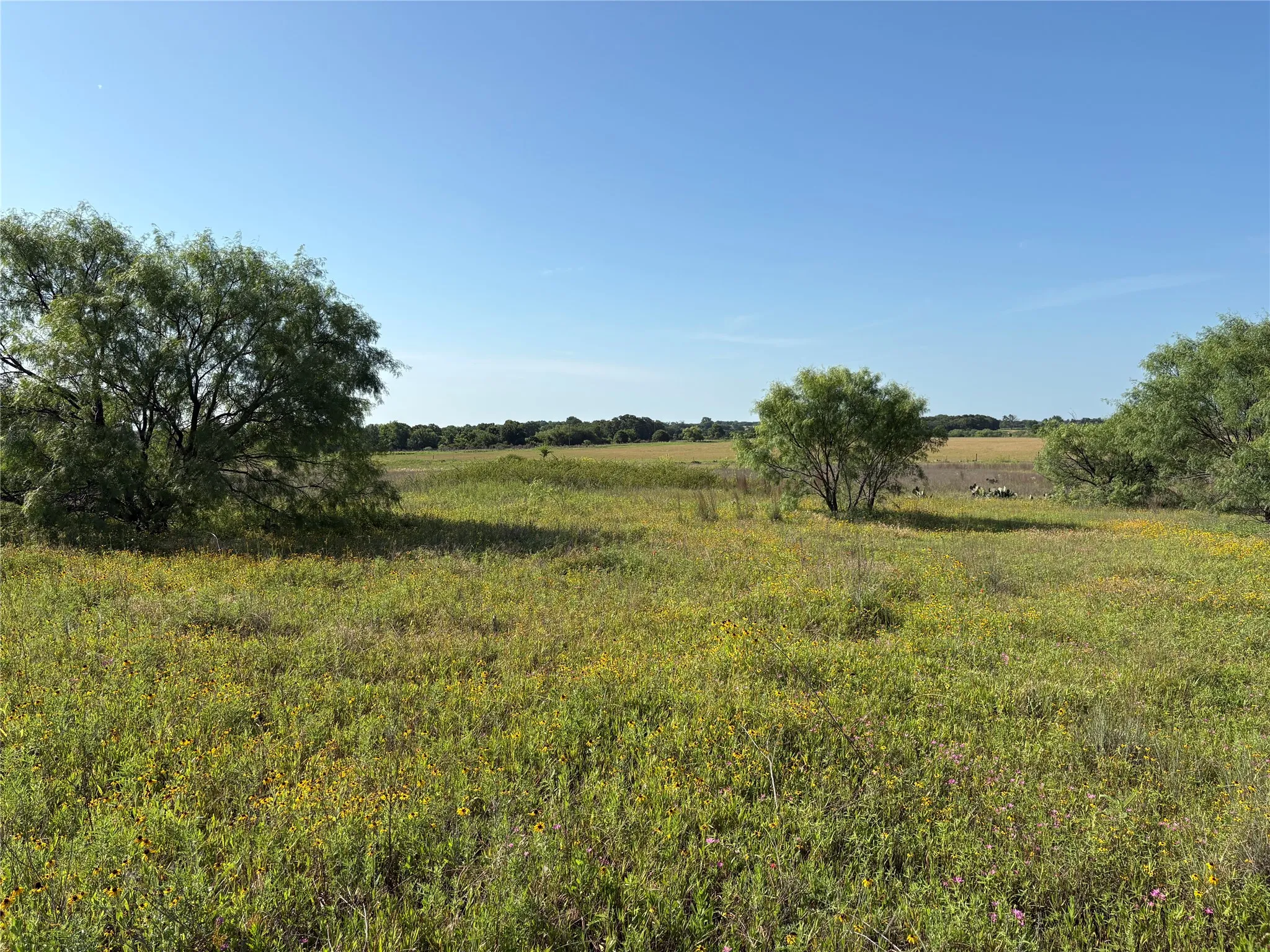 Ranch For Sale in Eastland County , 16 Acres TBD FM 571, Gorman, Texas 76454, 0, 0, Garage spaces, 0 Sqft, built in 0, Price $200,000, mls#21288980, Real Estate Agent in Gorman, Homes For Sale in Eastland county, Homes For Sale in Gorman, Realtor in Gorman Texas, Real Estate Brokerage Independent Realty Texas, Luminita Cordes Realtor