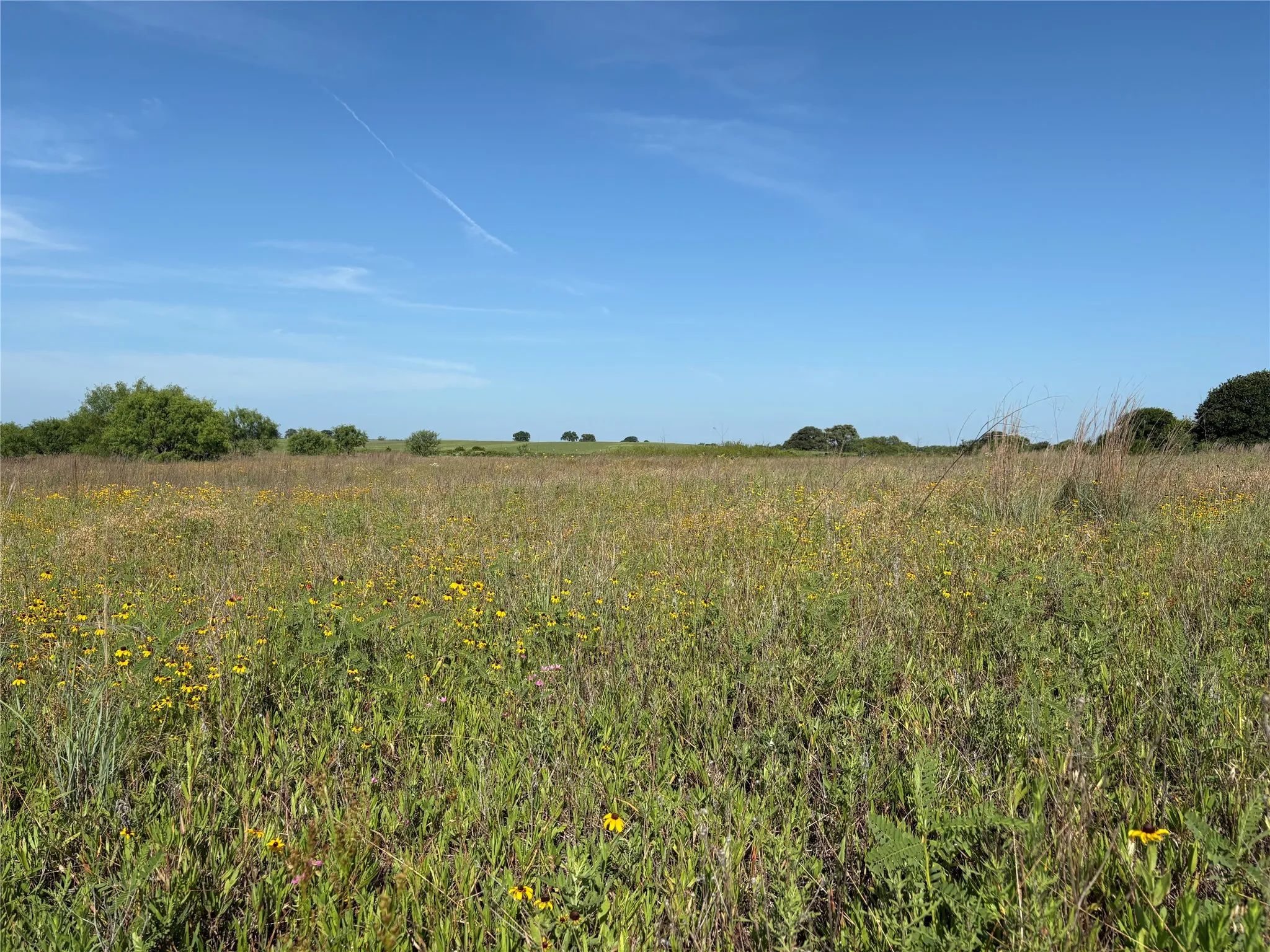 Ranch For Sale in Eastland County , 16 Acres TBD FM 571, Gorman, Texas 76454, 0, 0, Garage spaces, 0 Sqft, built in 0, Price $200,000, mls#21288980, Real Estate Agent in Gorman, Homes For Sale in Eastland county, Homes For Sale in Gorman, Realtor in Gorman Texas, Real Estate Brokerage Independent Realty Texas, Luminita Cordes Realtor