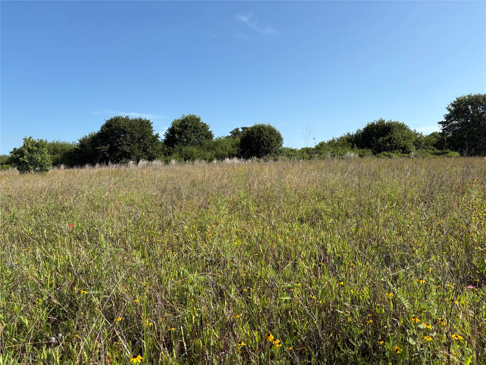 Ranch For Sale in Eastland County , 16 Acres TBD FM 571, Gorman, Texas 76454, 0, 0, Garage spaces, 0 Sqft, built in 0, Price $200,000, mls#21288980, Real Estate Agent in Gorman, Homes For Sale in Eastland county, Homes For Sale in Gorman, Realtor in Gorman Texas, Real Estate Brokerage Independent Realty Texas, Luminita Cordes Realtor