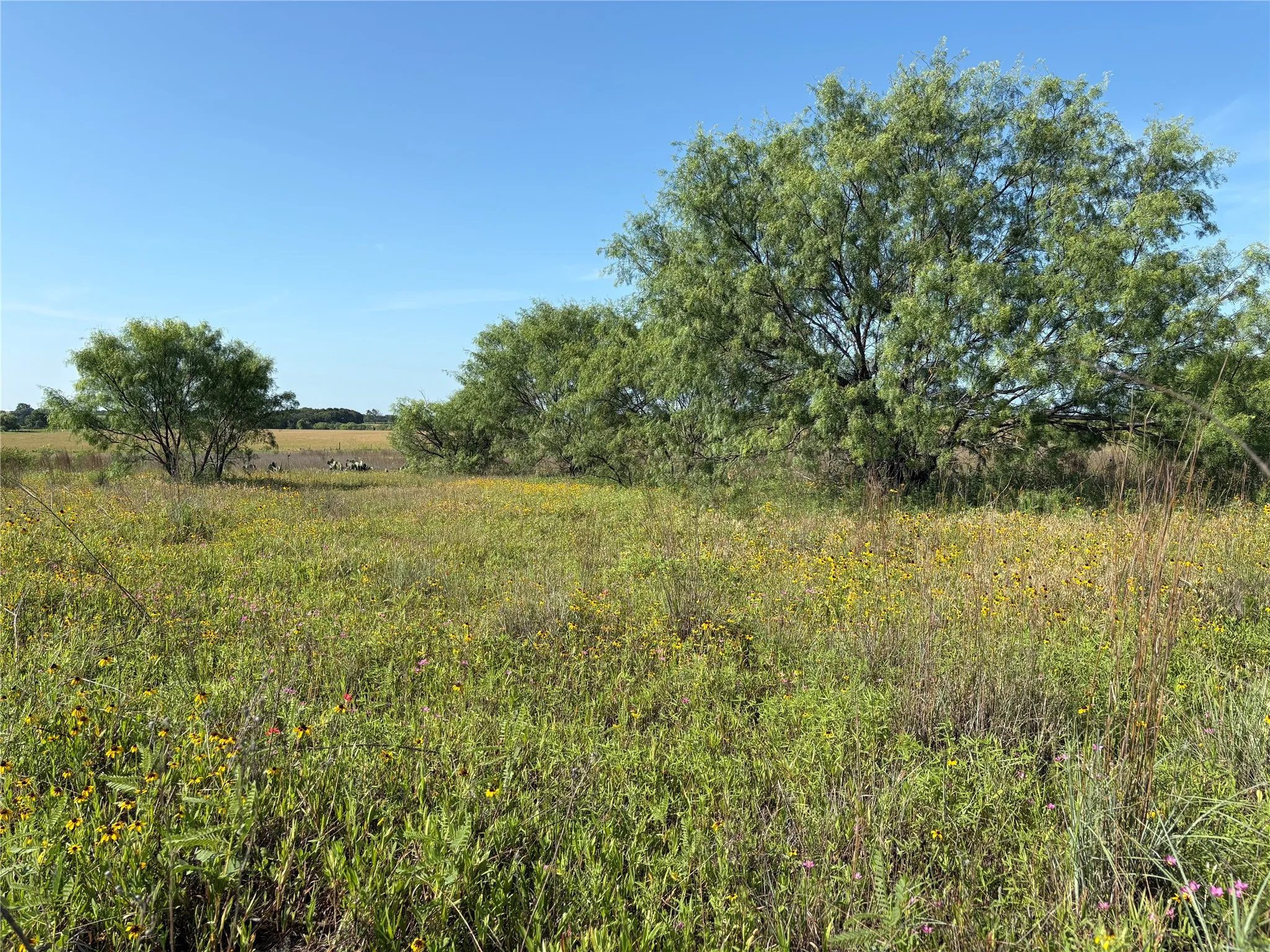 Ranch For Sale in Eastland County , 16 Acres TBD FM 571, Gorman, Texas 76454, 0, 0, Garage spaces, 0 Sqft, built in 0, Price $200,000, mls#21288980, Real Estate Agent in Gorman, Homes For Sale in Eastland county, Homes For Sale in Gorman, Realtor in Gorman Texas, Real Estate Brokerage Independent Realty Texas, Luminita Cordes Realtor