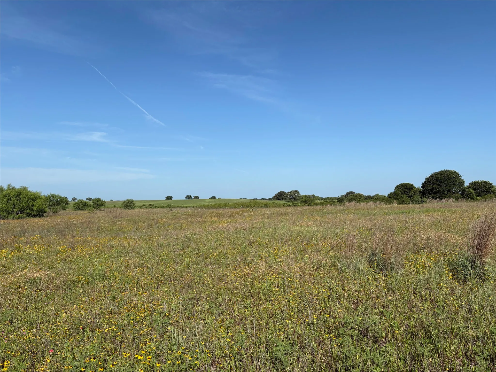 Ranch For Sale in Eastland County , 16 Acres TBD FM 571, Gorman, Texas 76454, 0, 0, Garage spaces, 0 Sqft, built in 0, Price $200,000, mls#21288980, Real Estate Agent in Gorman, Homes For Sale in Eastland county, Homes For Sale in Gorman, Realtor in Gorman Texas, Real Estate Brokerage Independent Realty Texas, Luminita Cordes Realtor