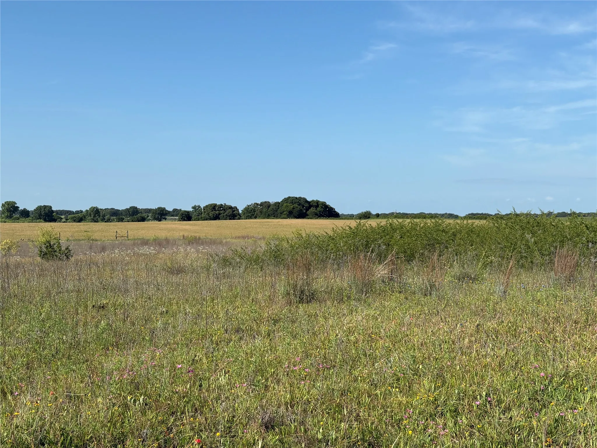 Ranch For Sale in Eastland County , 16 Acres TBD FM 571, Gorman, Texas 76454, 0, 0, Garage spaces, 0 Sqft, built in 0, Price $200,000, mls#21288980, Real Estate Agent in Gorman, Homes For Sale in Eastland county, Homes For Sale in Gorman, Realtor in Gorman Texas, Real Estate Brokerage Independent Realty Texas, Luminita Cordes Realtor