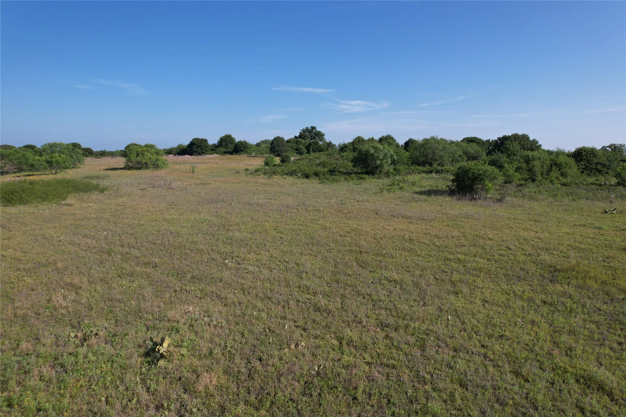 Ranch For Sale in Eastland County , 16 Acres TBD FM 571, Gorman, Texas 76454, 0, 0, Garage spaces, 0 Sqft, built in 0, Price $200,000, mls#21288980, Real Estate Agent in Gorman, Homes For Sale in Eastland county, Homes For Sale in Gorman, Realtor in Gorman Texas, Real Estate Brokerage Independent Realty Texas, Luminita Cordes Realtor