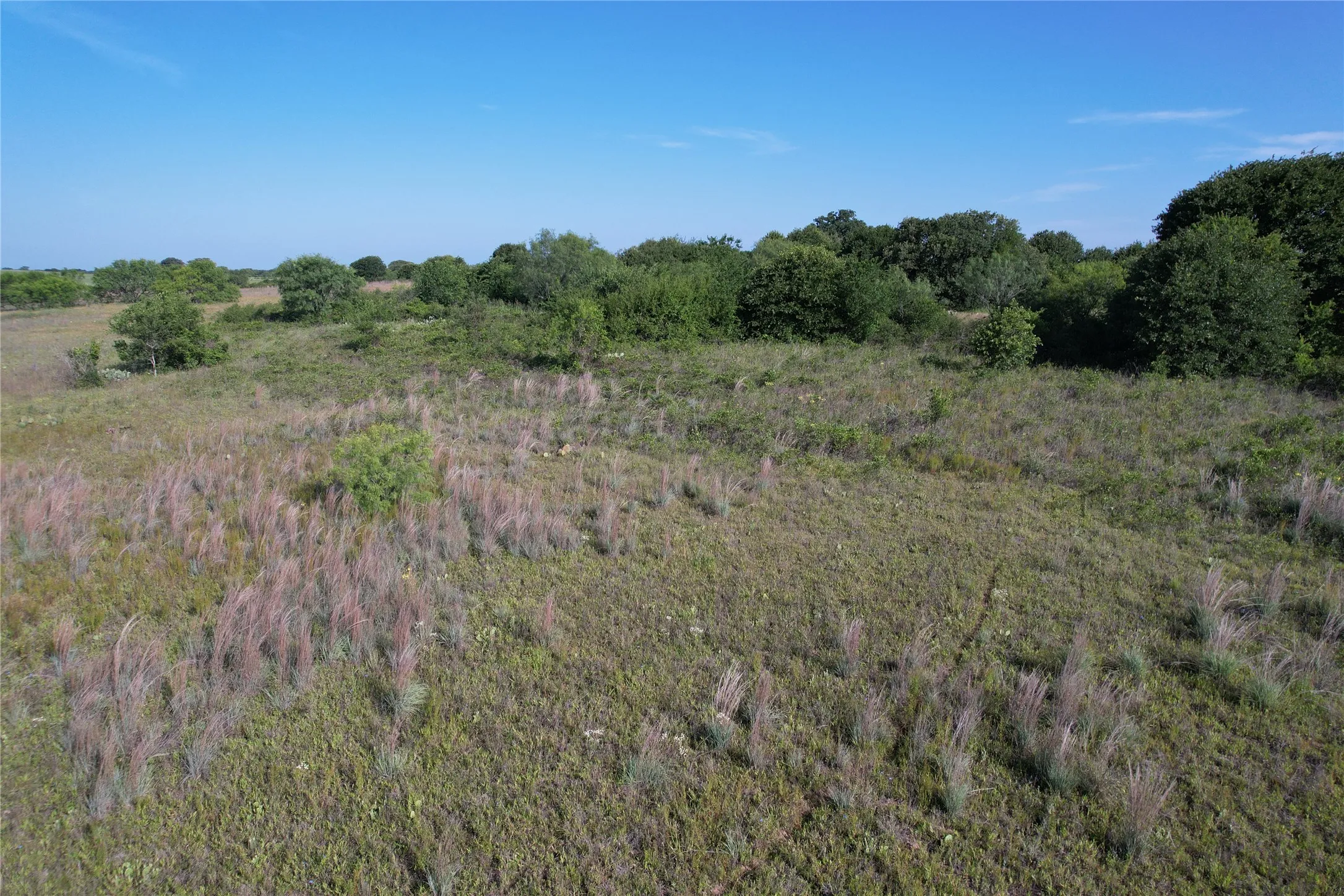 Ranch For Sale in Eastland County , 16 Acres TBD FM 571, Gorman, Texas 76454, 0, 0, Garage spaces, 0 Sqft, built in 0, Price $200,000, mls#21288980, Real Estate Agent in Gorman, Homes For Sale in Eastland county, Homes For Sale in Gorman, Realtor in Gorman Texas, Real Estate Brokerage Independent Realty Texas, Luminita Cordes Realtor