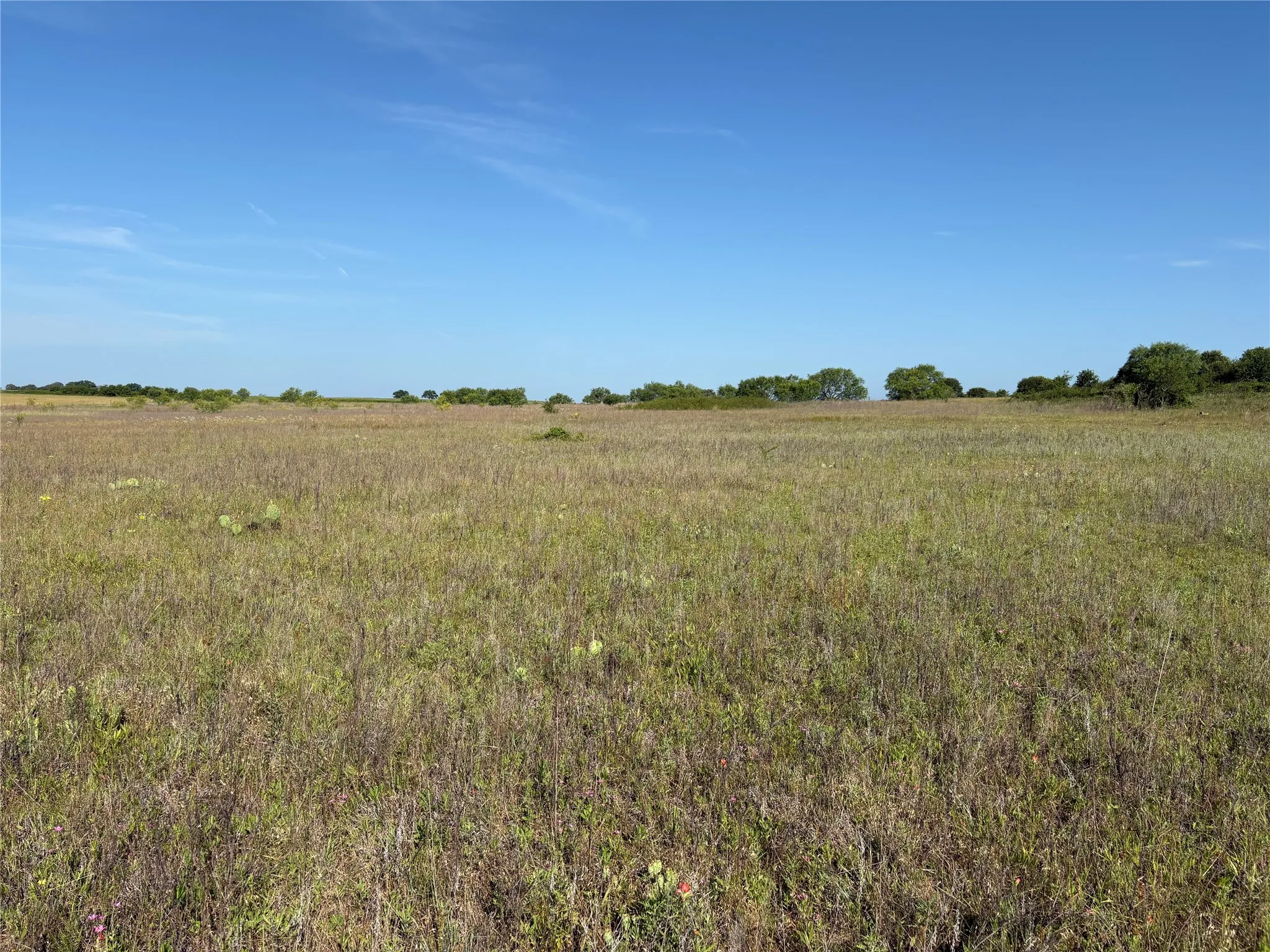 Ranch For Sale in Eastland County , 16 Acres TBD FM 571, Gorman, Texas 76454, 0, 0, Garage spaces, 0 Sqft, built in 0, Price $200,000, mls#21288980, Real Estate Agent in Gorman, Homes For Sale in Eastland county, Homes For Sale in Gorman, Realtor in Gorman Texas, Real Estate Brokerage Independent Realty Texas, Luminita Cordes Realtor