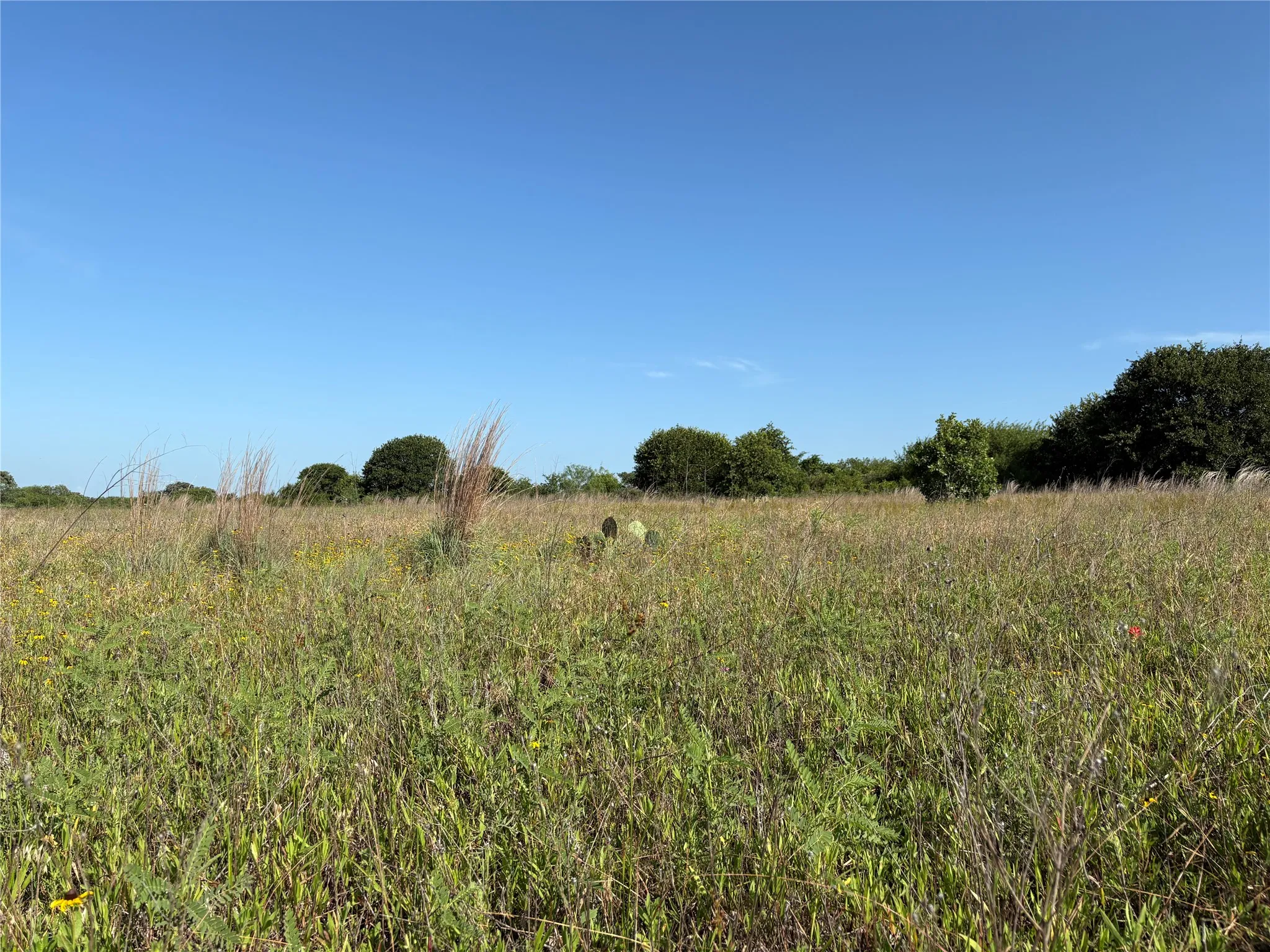 Ranch For Sale in Eastland County , 16 Acres TBD FM 571, Gorman, Texas 76454, 0, 0, Garage spaces, 0 Sqft, built in 0, Price $200,000, mls#21288980, Real Estate Agent in Gorman, Homes For Sale in Eastland county, Homes For Sale in Gorman, Realtor in Gorman Texas, Real Estate Brokerage Independent Realty Texas, Luminita Cordes Realtor