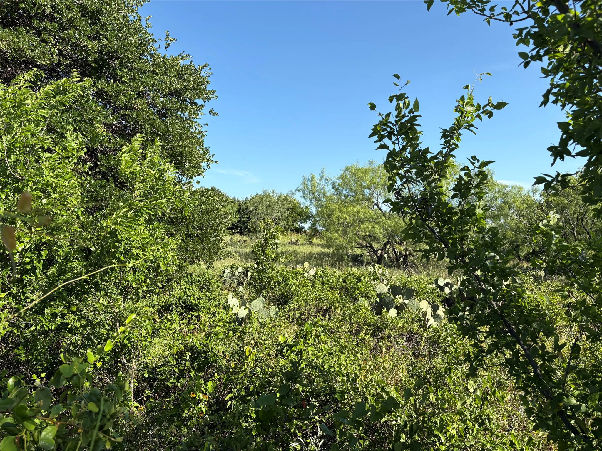Ranch For Sale in Eastland County , 16 Acres TBD FM 571, Gorman, Texas 76454, 0, 0, Garage spaces, 0 Sqft, built in 0, Price $200,000, mls#21288980, Real Estate Agent in Gorman, Homes For Sale in Eastland county, Homes For Sale in Gorman, Realtor in Gorman Texas, Real Estate Brokerage Independent Realty Texas, Luminita Cordes Realtor