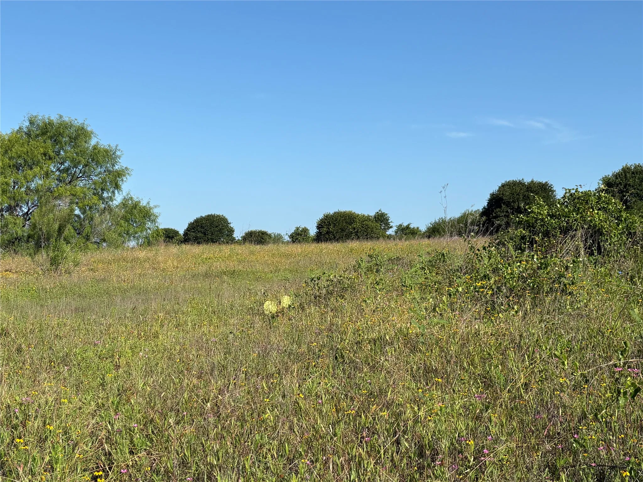 Ranch For Sale in Eastland County , 16 Acres TBD FM 571, Gorman, Texas 76454, 0, 0, Garage spaces, 0 Sqft, built in 0, Price $200,000, mls#21288980, Real Estate Agent in Gorman, Homes For Sale in Eastland county, Homes For Sale in Gorman, Realtor in Gorman Texas, Real Estate Brokerage Independent Realty Texas, Luminita Cordes Realtor