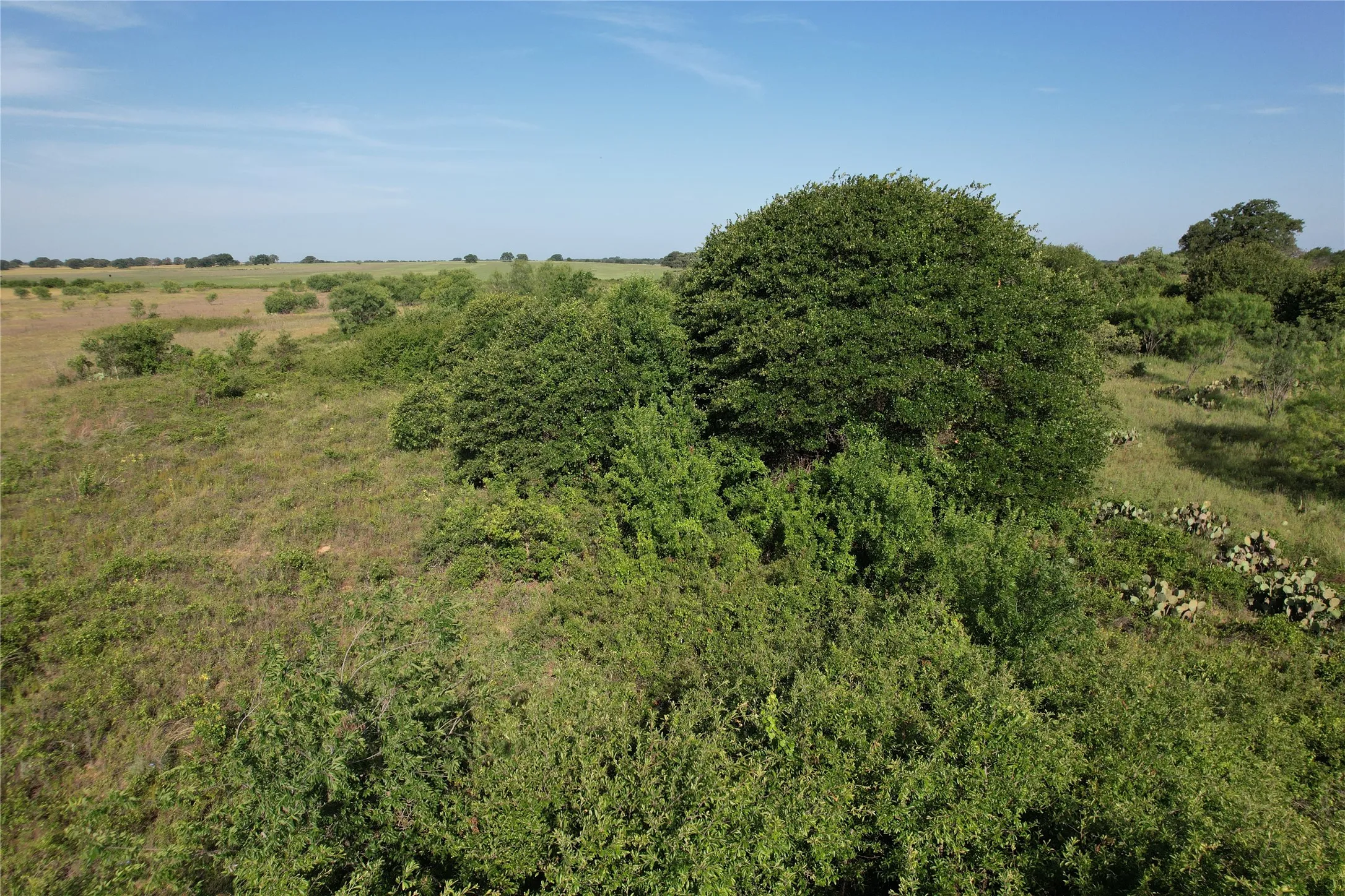 Ranch For Sale in Eastland County , 16 Acres TBD FM 571, Gorman, Texas 76454, 0, 0, Garage spaces, 0 Sqft, built in 0, Price $200,000, mls#21288980, Real Estate Agent in Gorman, Homes For Sale in Eastland county, Homes For Sale in Gorman, Realtor in Gorman Texas, Real Estate Brokerage Independent Realty Texas, Luminita Cordes Realtor