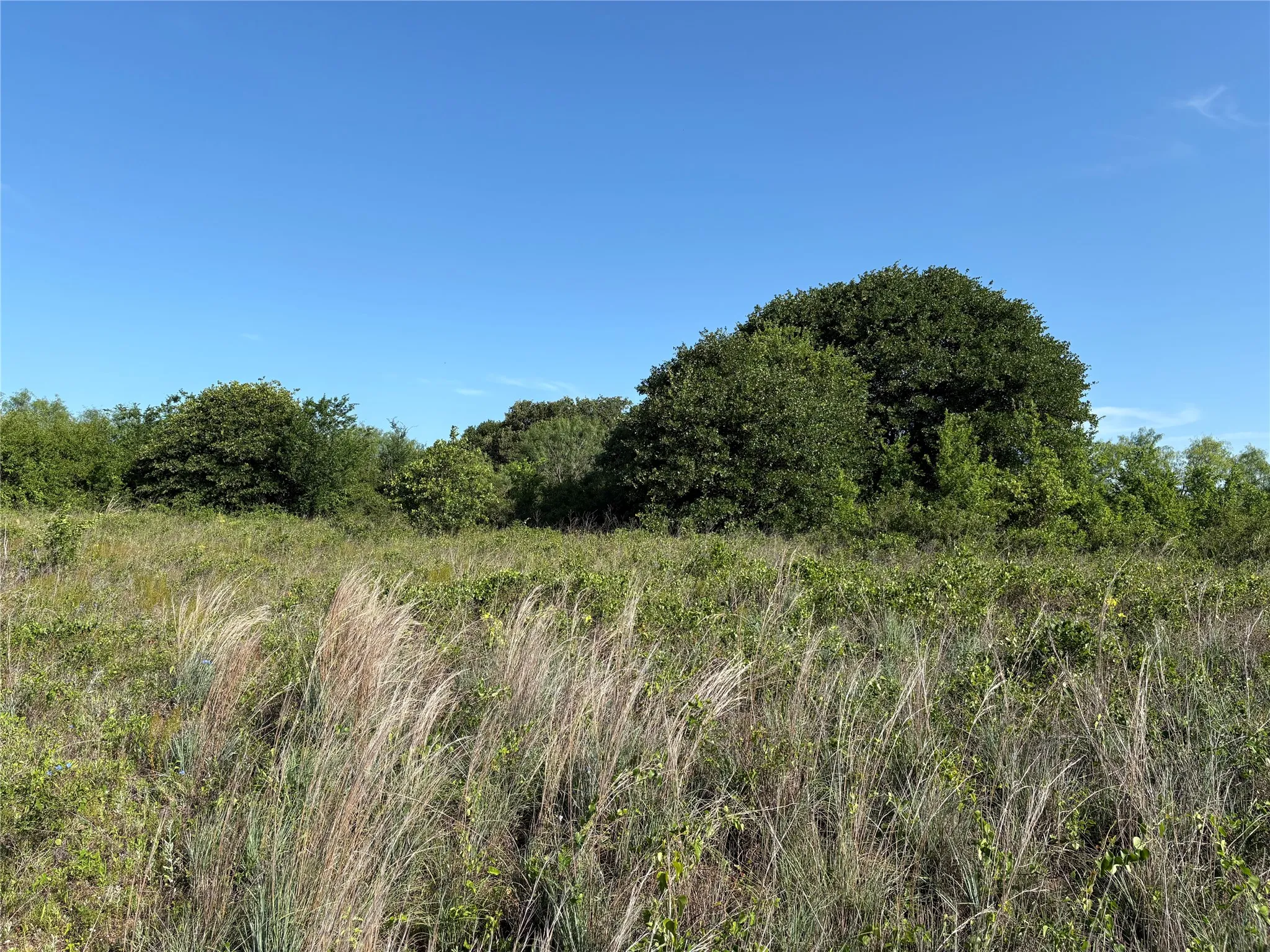 Ranch For Sale in Eastland County , 16 Acres TBD FM 571, Gorman, Texas 76454, 0, 0, Garage spaces, 0 Sqft, built in 0, Price $200,000, mls#21288980, Real Estate Agent in Gorman, Homes For Sale in Eastland county, Homes For Sale in Gorman, Realtor in Gorman Texas, Real Estate Brokerage Independent Realty Texas, Luminita Cordes Realtor