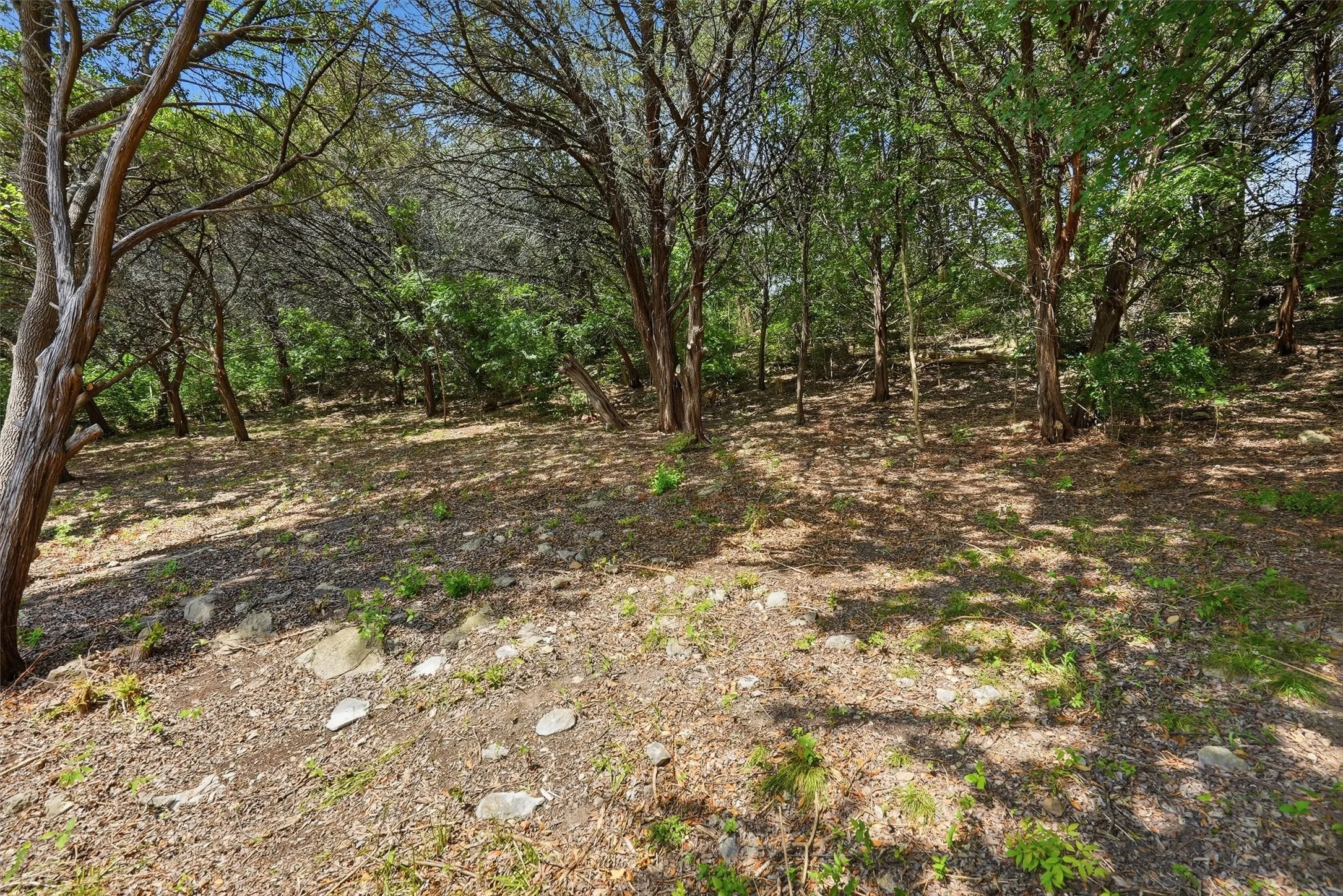 Unimproved Land For Sale in Hood County , 5036 Santa Elena Court, De Cordova, Texas 76049, 0, 0, Garage spaces, 0 Sqft, built in 0, Price $70,000, mls#21290287, Real Estate Agent in De Cordova, Homes For Sale in Hood county, Homes For Sale in De Cordova, Realtor in De Cordova Texas, Real Estate Brokerage Independent Realty Texas, Luminita Cordes Realtor