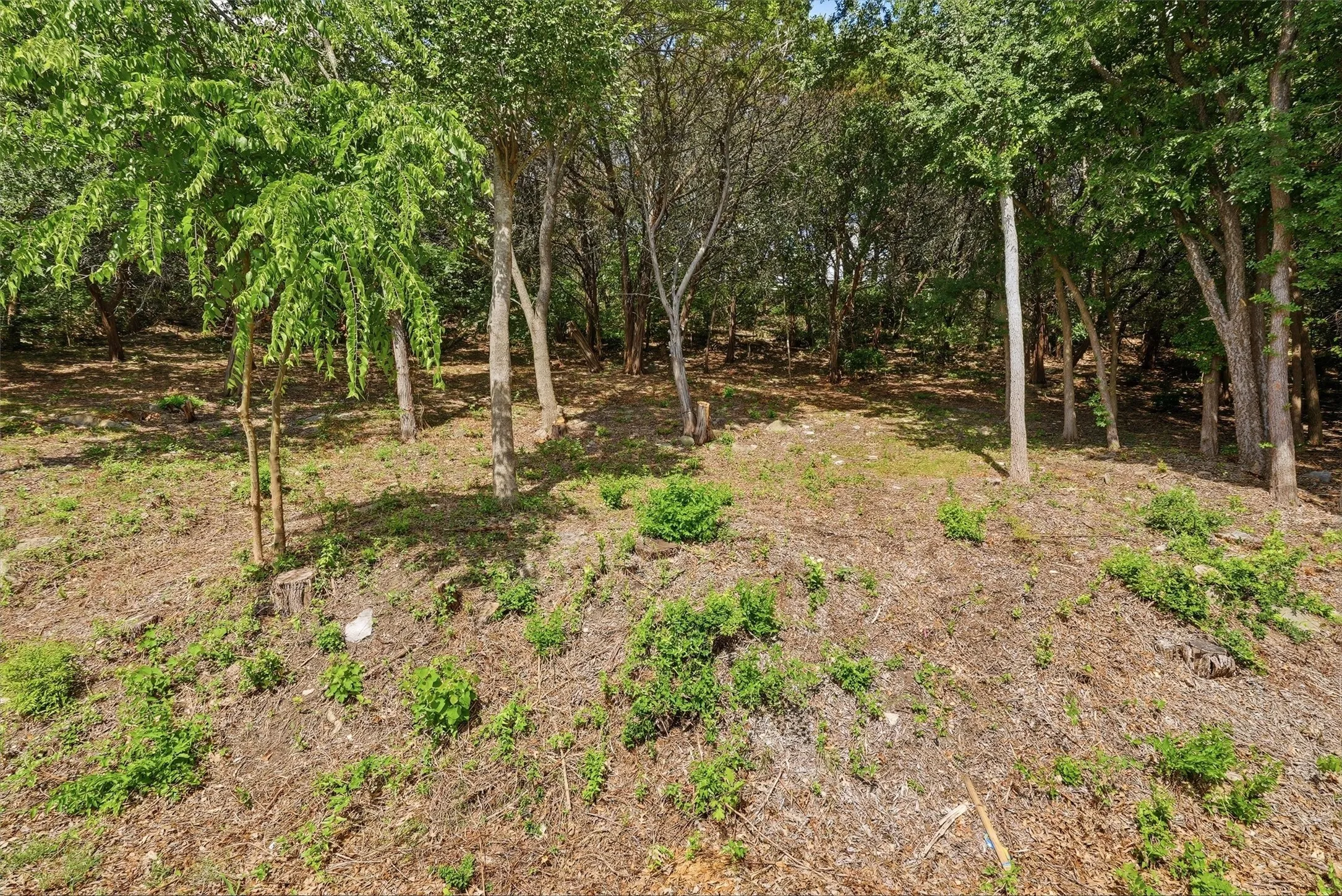 Unimproved Land For Sale in Hood County , 5036 Santa Elena Court, De Cordova, Texas 76049, 0, 0, Garage spaces, 0 Sqft, built in 0, Price $70,000, mls#21290287, Real Estate Agent in De Cordova, Homes For Sale in Hood county, Homes For Sale in De Cordova, Realtor in De Cordova Texas, Real Estate Brokerage Independent Realty Texas, Luminita Cordes Realtor