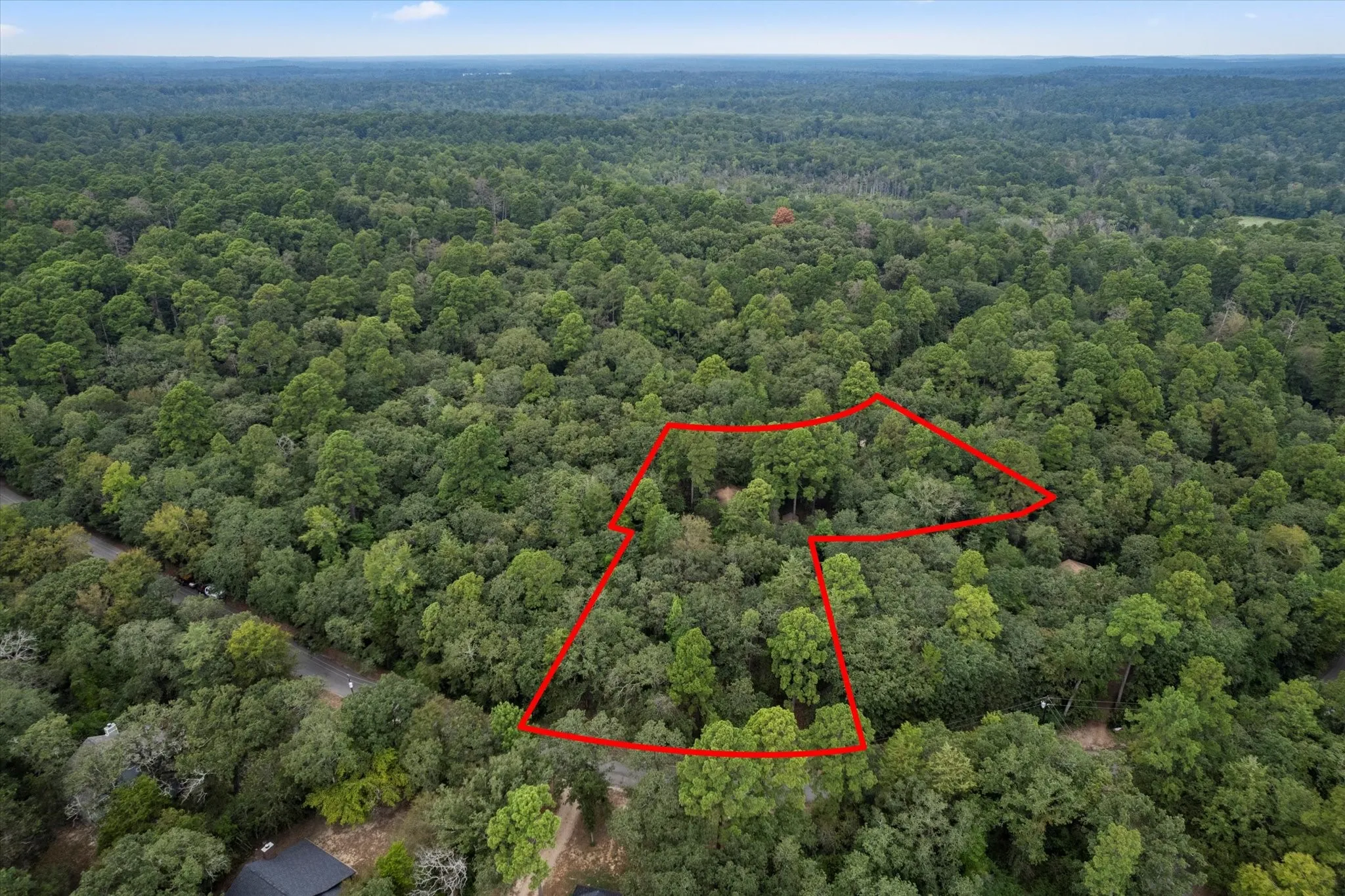 Aerial perspective showcasing a heavily wooded parcel
