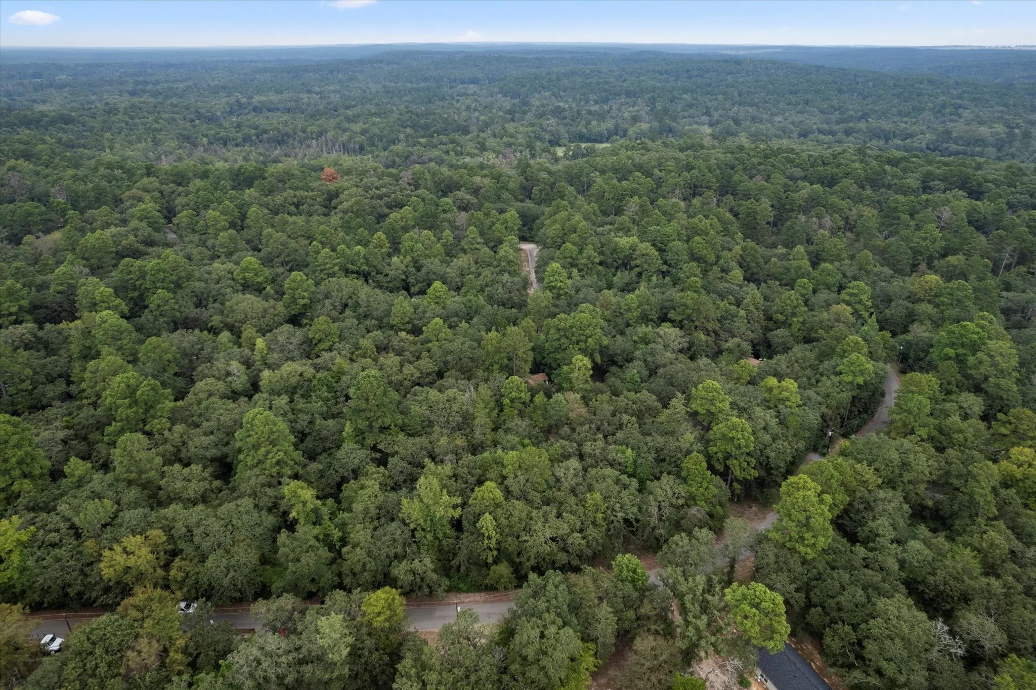 Expansive wooded landscape featuring mature trees and a winding paved road