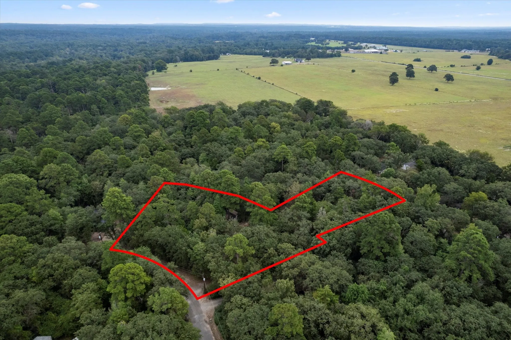 Expansive wooded acreage featuring mature trees and a tranquil natural setting
