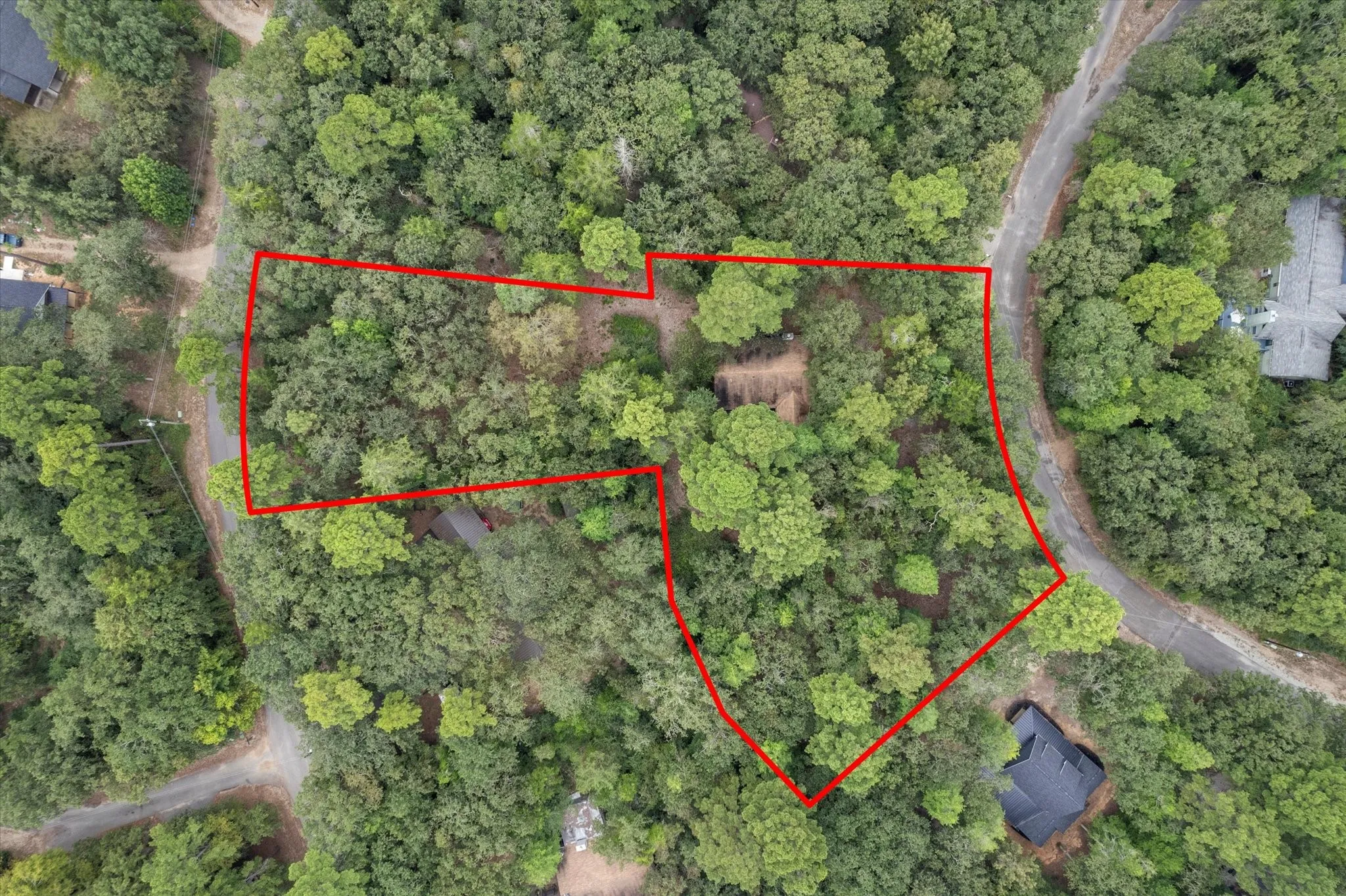 Expansive wooded parcel outlined in red, featuring mature trees and a private setting