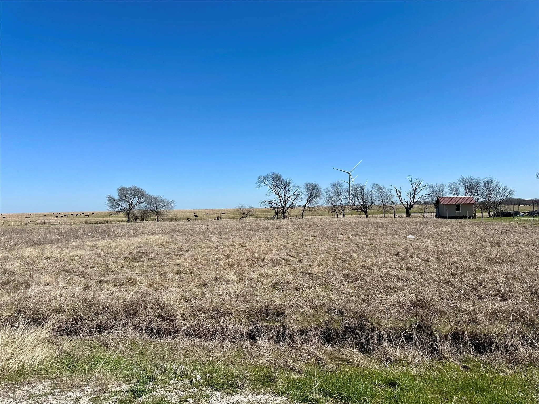 Unimproved Land For Sale in Navarro County , Lot 41 SW County Rd 4170, Dawson, Texas 76639, 0, 0, Garage spaces, 0 Sqft, built in 0, Price $75,000, mls#21291135, Real Estate Agent in Dawson, Homes For Sale in Navarro county, Homes For Sale in Dawson, Realtor in Dawson Texas, Real Estate Brokerage Independent Realty Texas, Luminita Cordes Realtor