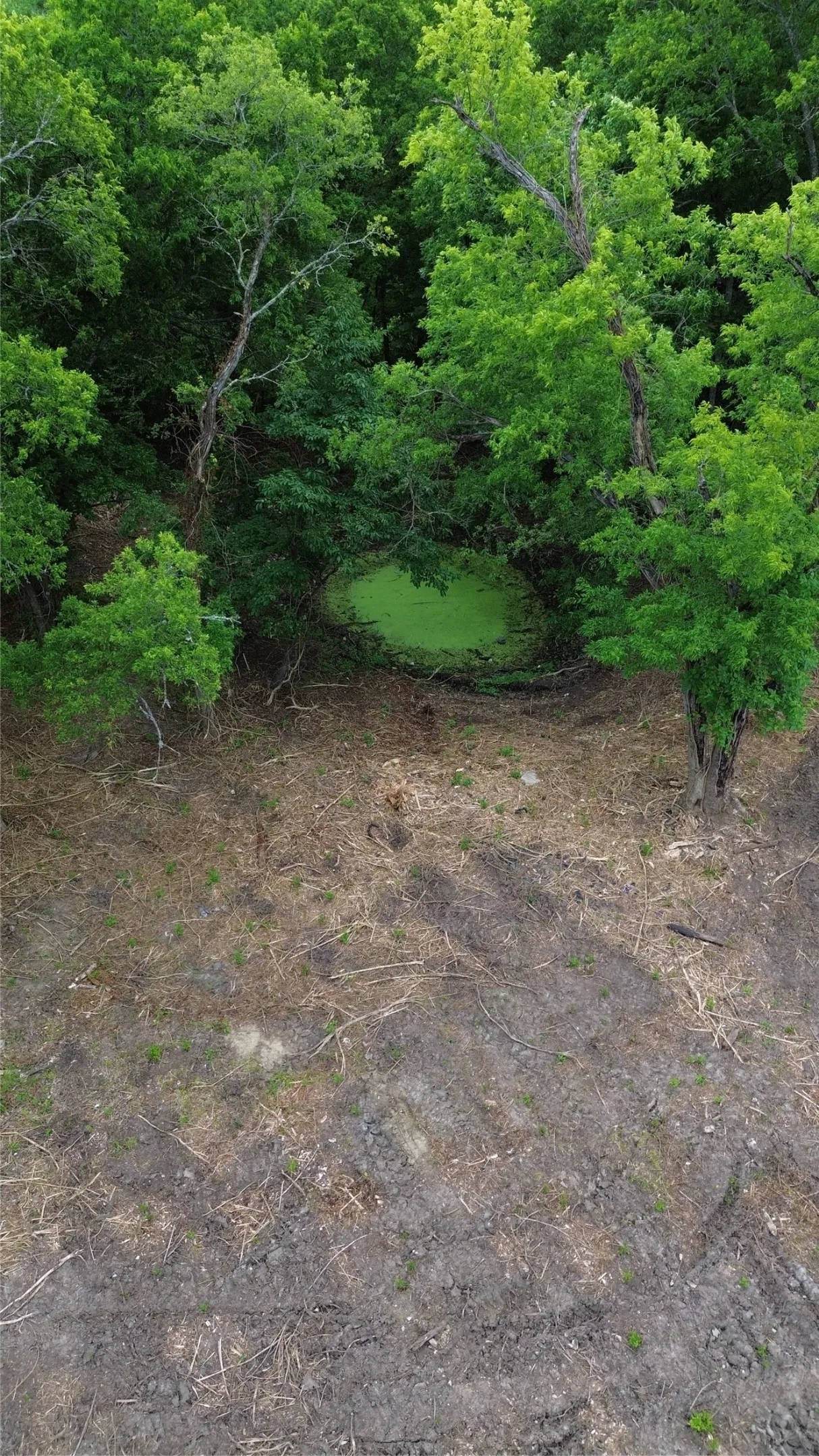 Unimproved Land For Sale in Fannin County , Tbd Eastman, Ladonia, Texas 75449, 0, 0, Garage spaces, 0 Sqft, built in 0, Price $75,000, mls#21291161, Real Estate Agent in Ladonia, Homes For Sale in Fannin county, Homes For Sale in Ladonia, Realtor in Ladonia Texas, Real Estate Brokerage Independent Realty Texas, Luminita Cordes Realtor