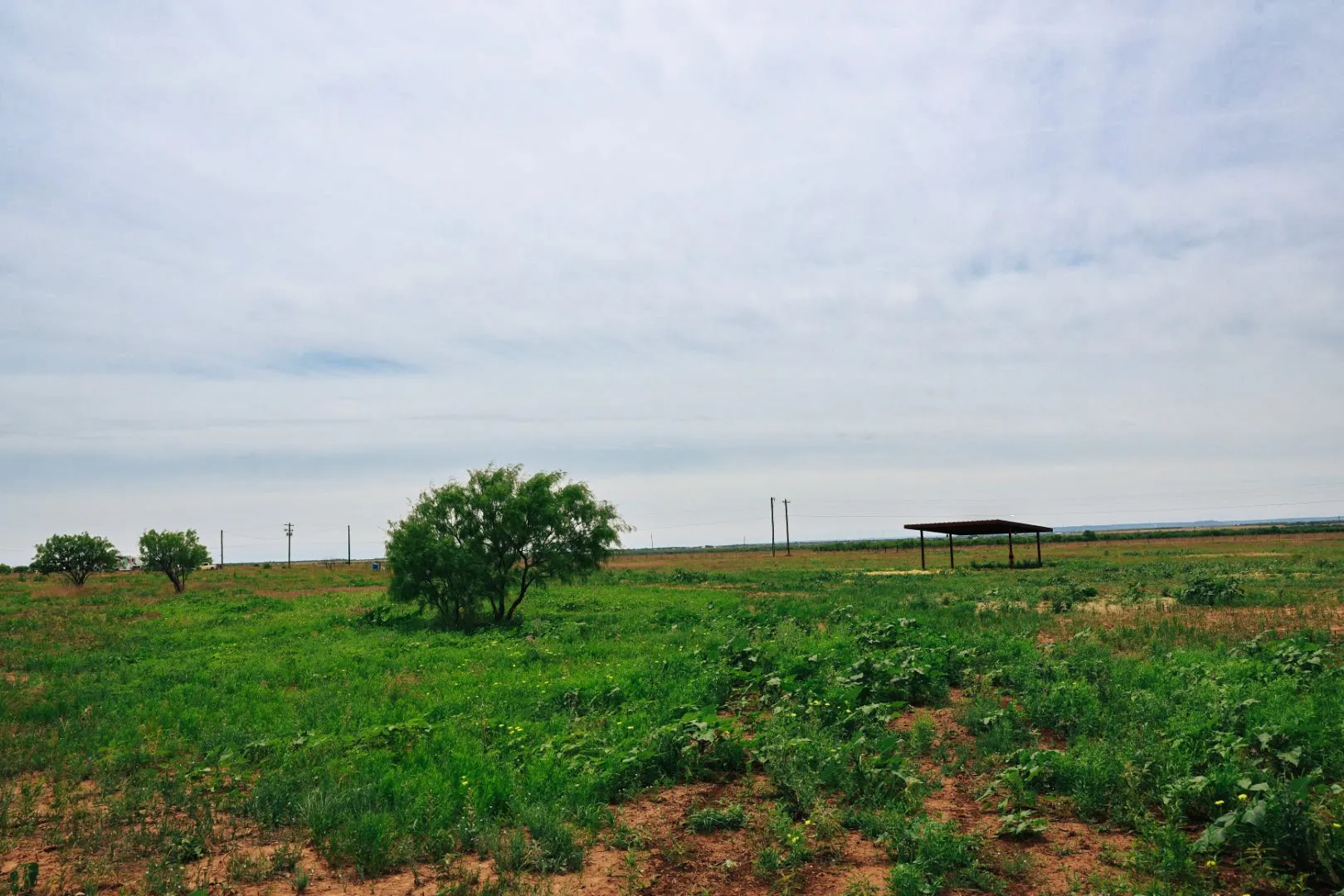 Single Family Residence For Sale in Jones County , 13558 County Road 440, Merkel, Texas 79536, 1 Bedroom, 1 Bathroom, Garage spaces, 400 Sqft, built in 2024, mls#21291199, Real Estate Agent in Merkel, Homes For Sale in Jones county, Homes For Sale in Merkel, Realtor in Merkel Texas, Real Estate Brokerage Independent Realty Texas, Luminita Cordes Realtor