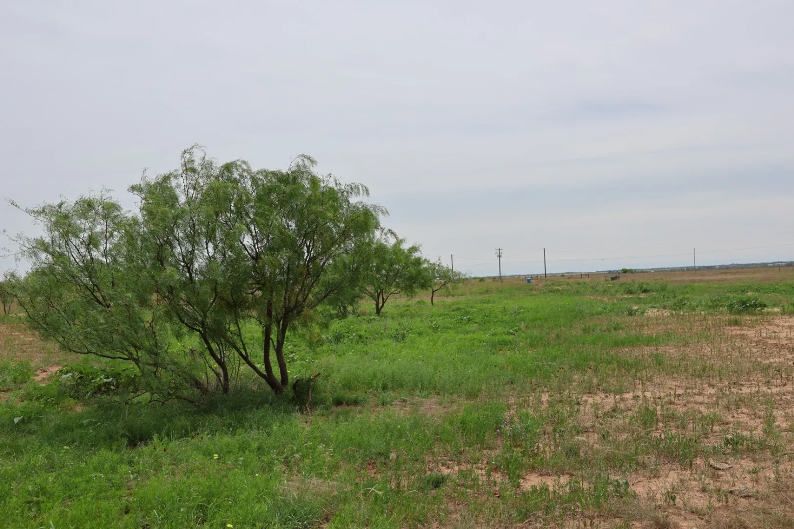 Single Family Residence For Sale in Jones County , 13558 County Road 440, Merkel, Texas 79536, 1 Bedroom, 1 Bathroom, Garage spaces, 400 Sqft, built in 2024, mls#21291199, Real Estate Agent in Merkel, Homes For Sale in Jones county, Homes For Sale in Merkel, Realtor in Merkel Texas, Real Estate Brokerage Independent Realty Texas, Luminita Cordes Realtor