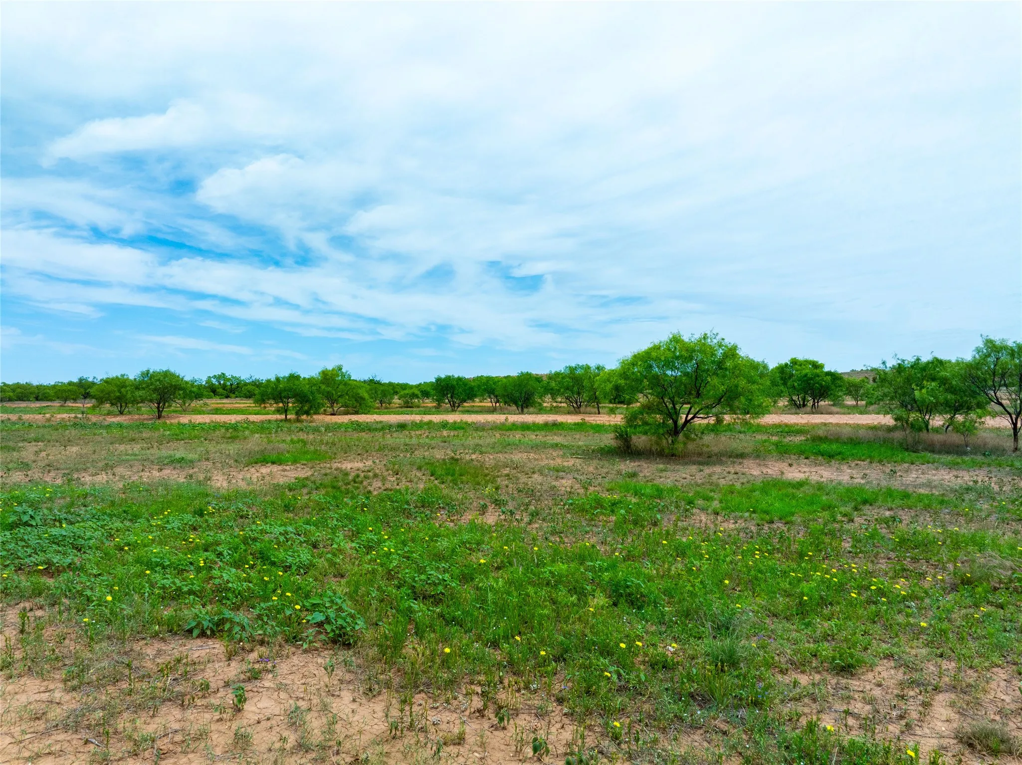 Single Family Residence For Sale in Jones County , 13558 County Road 440, Merkel, Texas 79536, 1 Bedroom, 1 Bathroom, Garage spaces, 400 Sqft, built in 2024, mls#21291199, Real Estate Agent in Merkel, Homes For Sale in Jones county, Homes For Sale in Merkel, Realtor in Merkel Texas, Real Estate Brokerage Independent Realty Texas, Luminita Cordes Realtor
