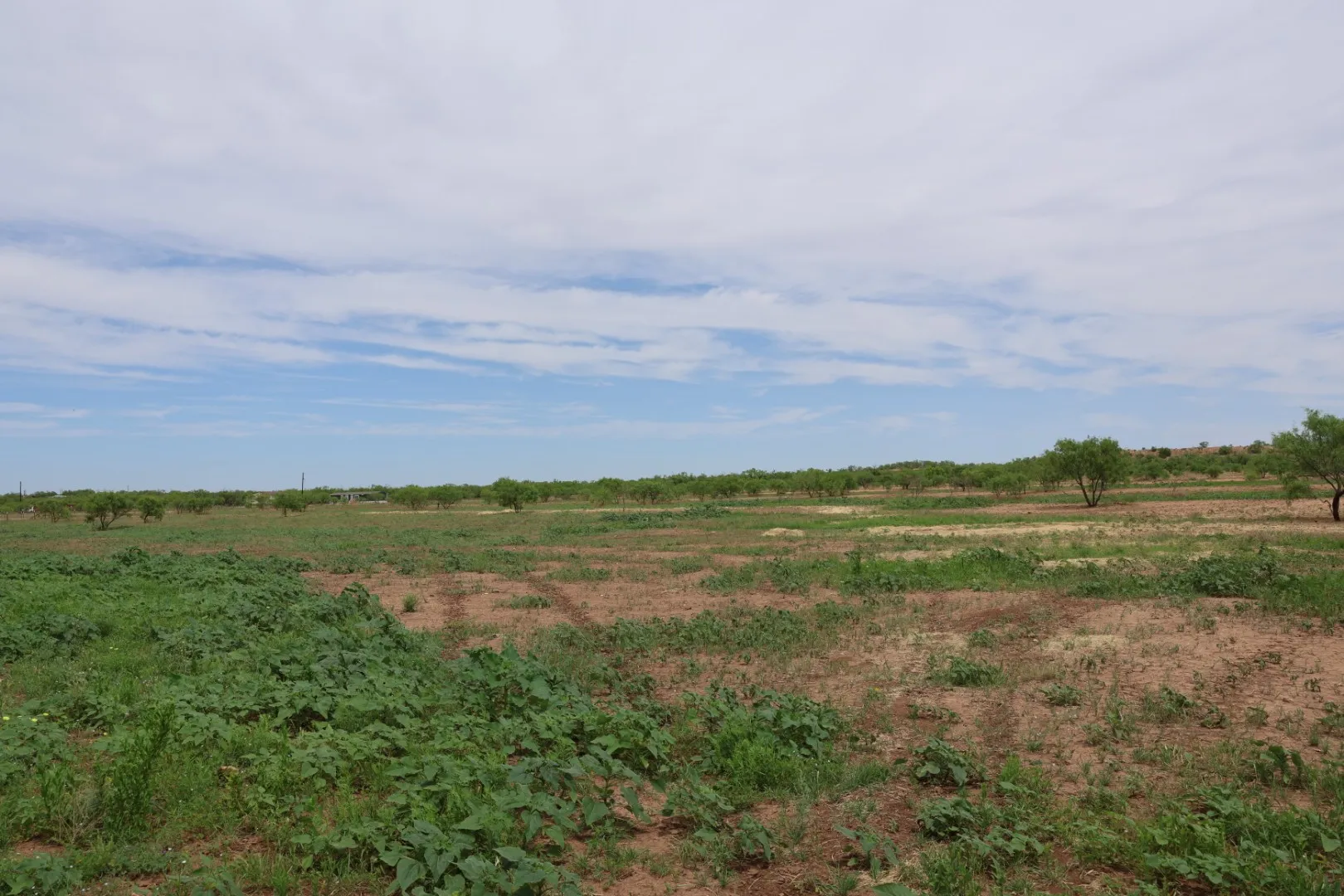 Single Family Residence For Sale in Jones County , 13558 County Road 440, Merkel, Texas 79536, 1 Bedroom, 1 Bathroom, Garage spaces, 400 Sqft, built in 2024, mls#21291199, Real Estate Agent in Merkel, Homes For Sale in Jones county, Homes For Sale in Merkel, Realtor in Merkel Texas, Real Estate Brokerage Independent Realty Texas, Luminita Cordes Realtor