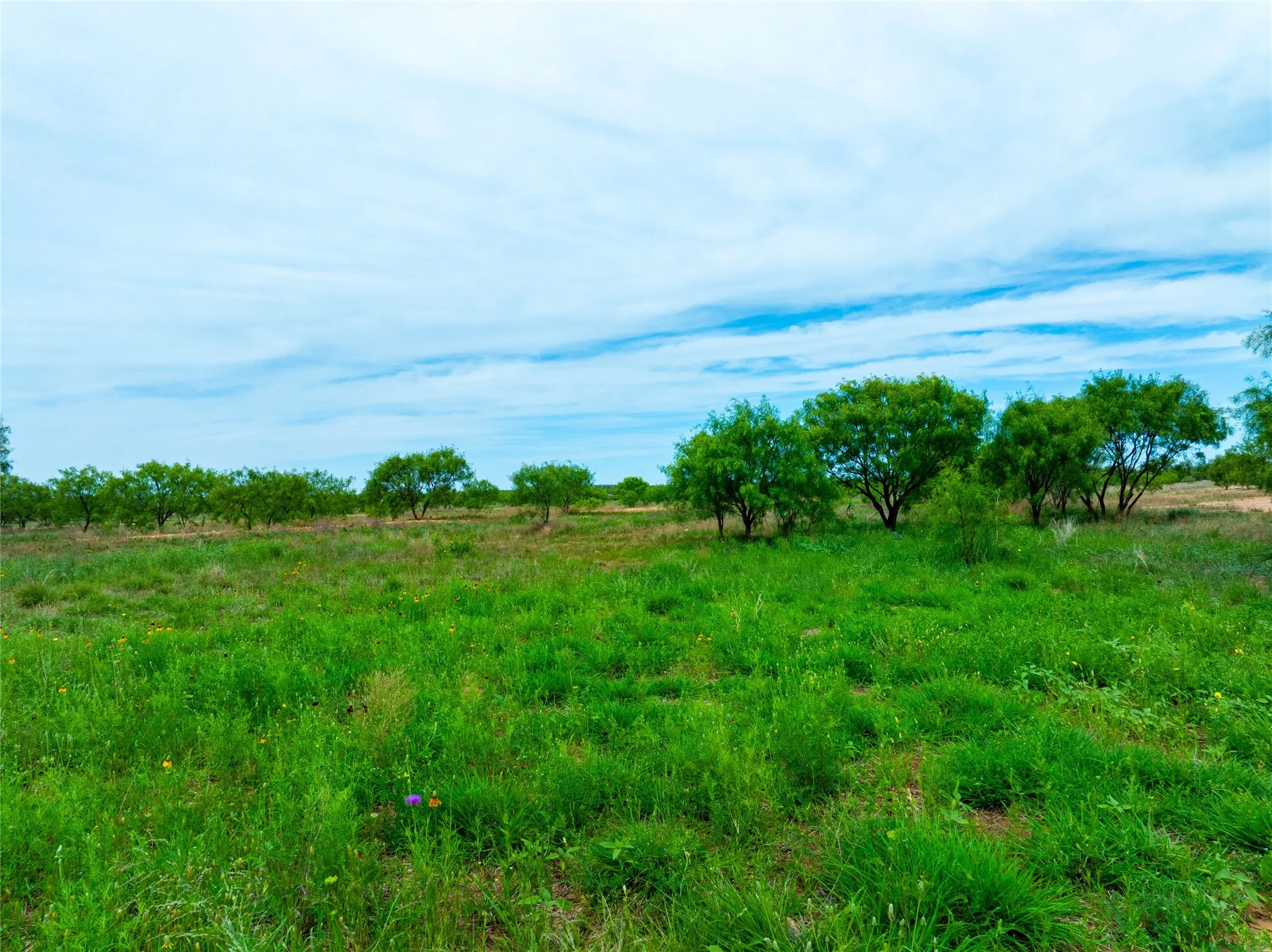 Single Family Residence For Sale in Jones County , 13558 County Road 440, Merkel, Texas 79536, 1 Bedroom, 1 Bathroom, Garage spaces, 400 Sqft, built in 2024, mls#21291199, Real Estate Agent in Merkel, Homes For Sale in Jones county, Homes For Sale in Merkel, Realtor in Merkel Texas, Real Estate Brokerage Independent Realty Texas, Luminita Cordes Realtor