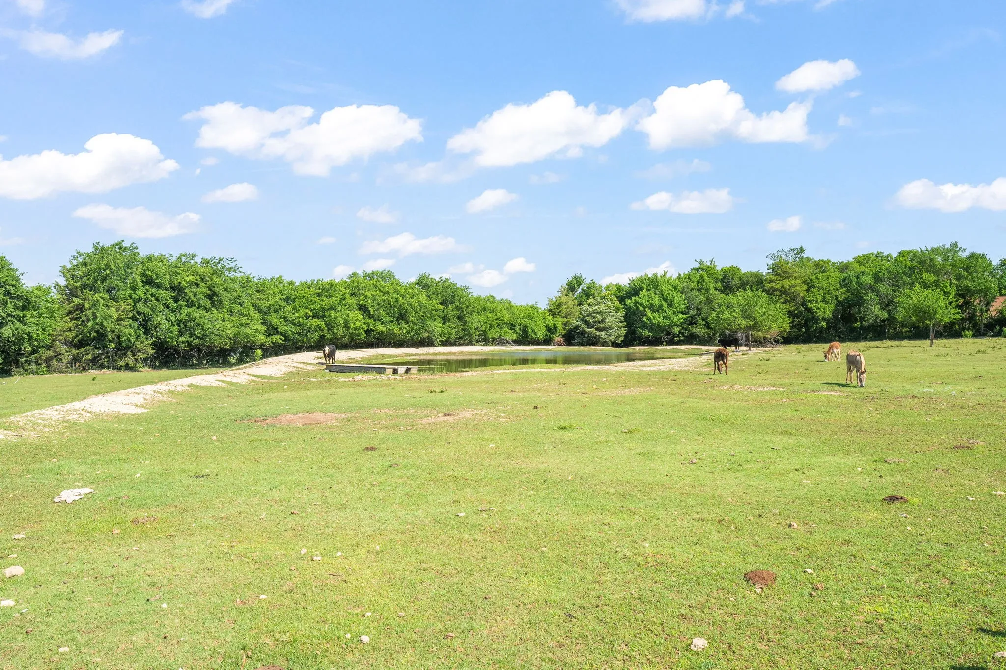 Single Family Residence For Sale in Grayson County , 518 E College Street, Gunter, Texas 75058, 4 Bedroom, 3 Bathroom, Garage spaces, 3,894 Sqft, built in 1930, mls#21288384, Real Estate Agent in Gunter, Homes For Sale in Grayson county, Homes For Sale in Gunter, Realtor in Gunter Texas, Real Estate Brokerage Independent Realty Texas, Luminita Cordes Realtor
