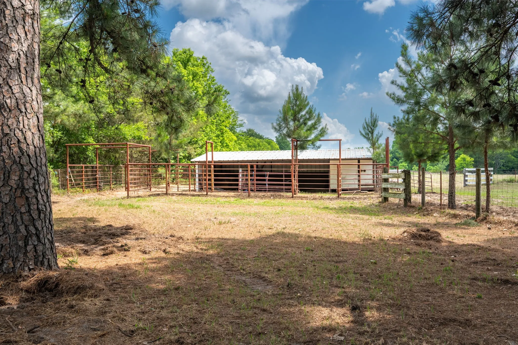 Farm For Sale in Van Zandt County , 2715 FM 857, Grand Saline, Texas 75140, 3 Bedroom, 2 Bathroom, 2 Garage spaces, 1,751 Sqft, built in 1968, mls#21291331, Real Estate Agent in Grand Saline, Homes For Sale in Van Zandt county, Homes For Sale in Grand Saline, Realtor in Grand Saline Texas, Real Estate Brokerage Independent Realty Texas, Luminita Cordes Realtor