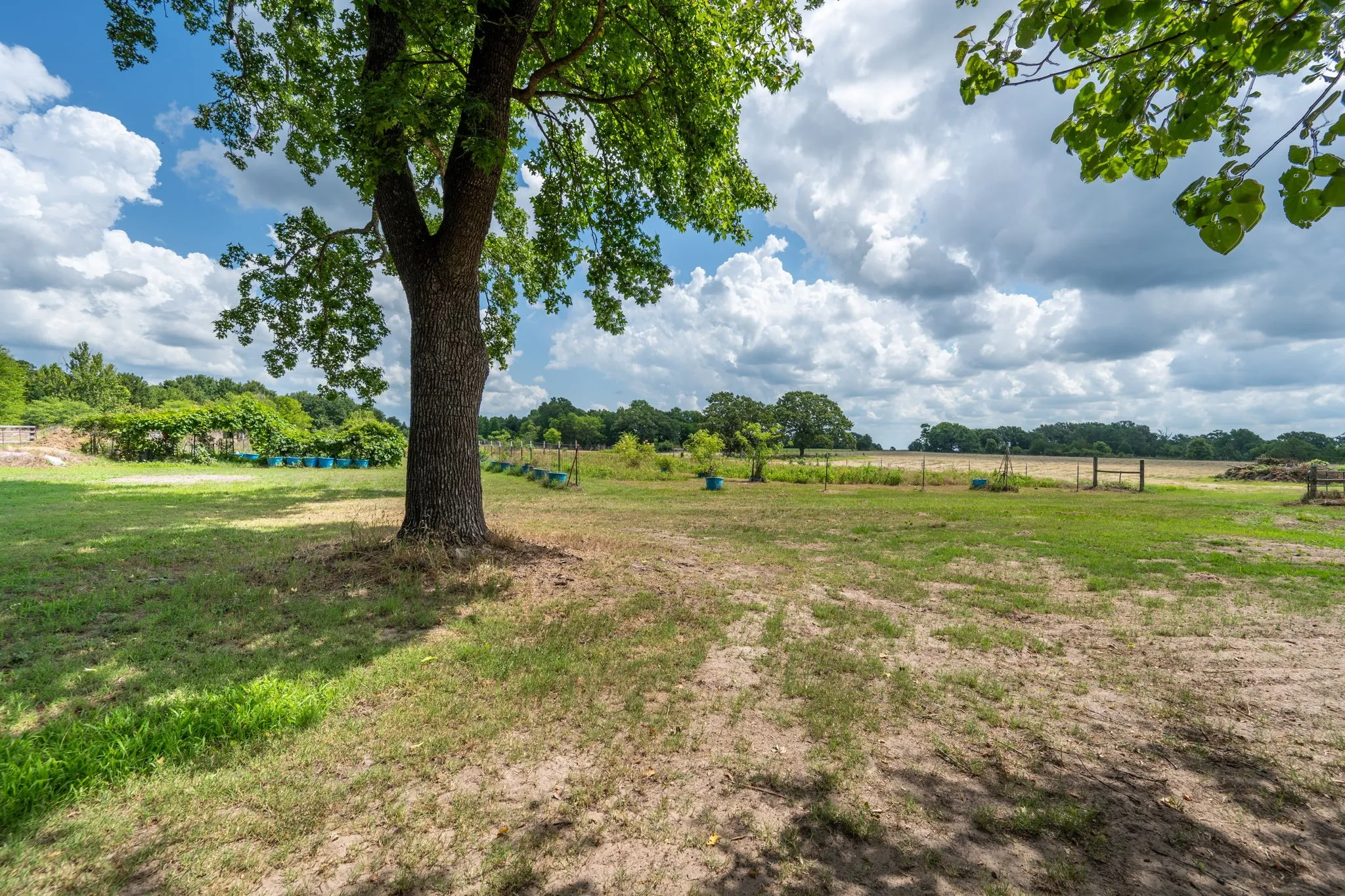 Farm For Sale in Van Zandt County , 2715 FM 857, Grand Saline, Texas 75140, 3 Bedroom, 2 Bathroom, 2 Garage spaces, 1,751 Sqft, built in 1968, mls#21291331, Real Estate Agent in Grand Saline, Homes For Sale in Van Zandt county, Homes For Sale in Grand Saline, Realtor in Grand Saline Texas, Real Estate Brokerage Independent Realty Texas, Luminita Cordes Realtor
