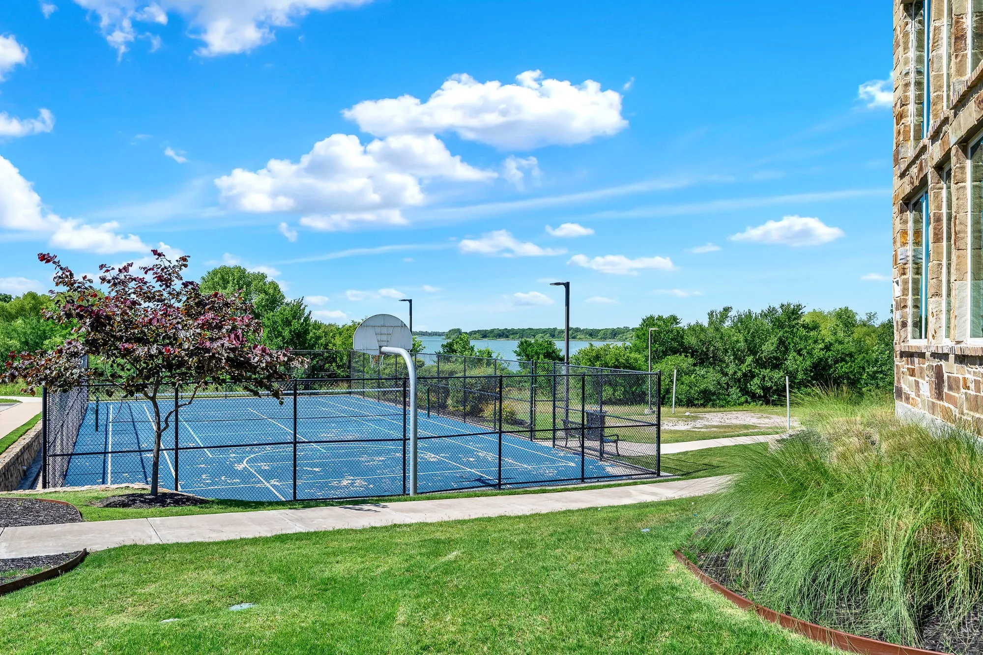 Basket court