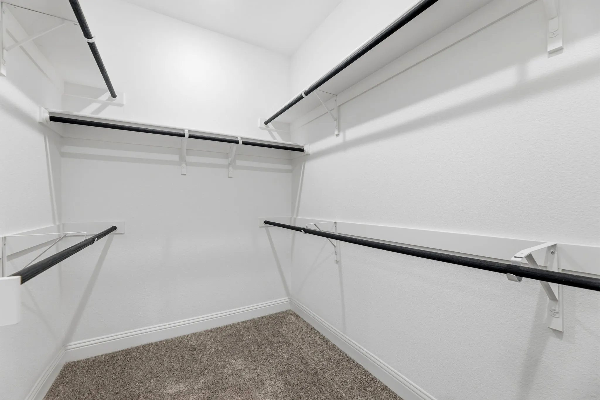 Spacious walk-in closet featuring white painted walls, multiple black hanging rods, white shelving, and neutral-toned carpeting