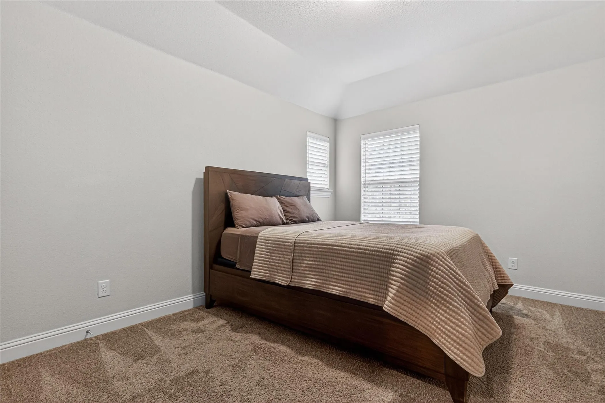 Carpeted room featuring a tray ceiling, two windows with blinds, light gray walls, and white baseboards