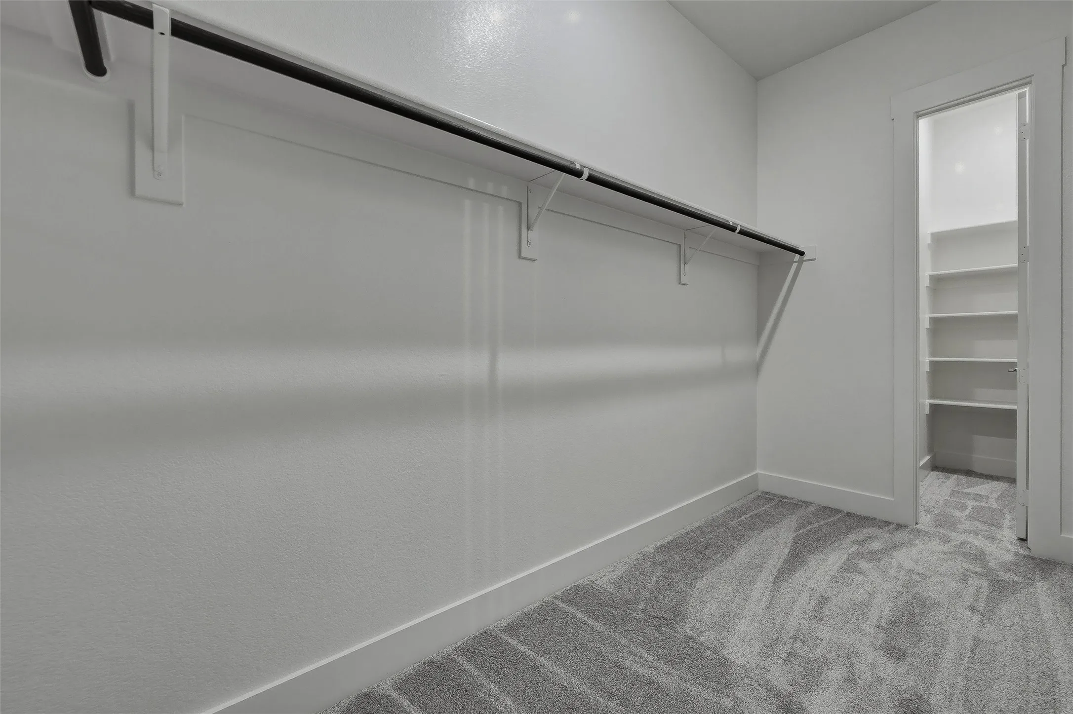 Spacious closet featuring wall-mounted hanging rod, built-in shelving, gray carpet flooring, and white painted walls